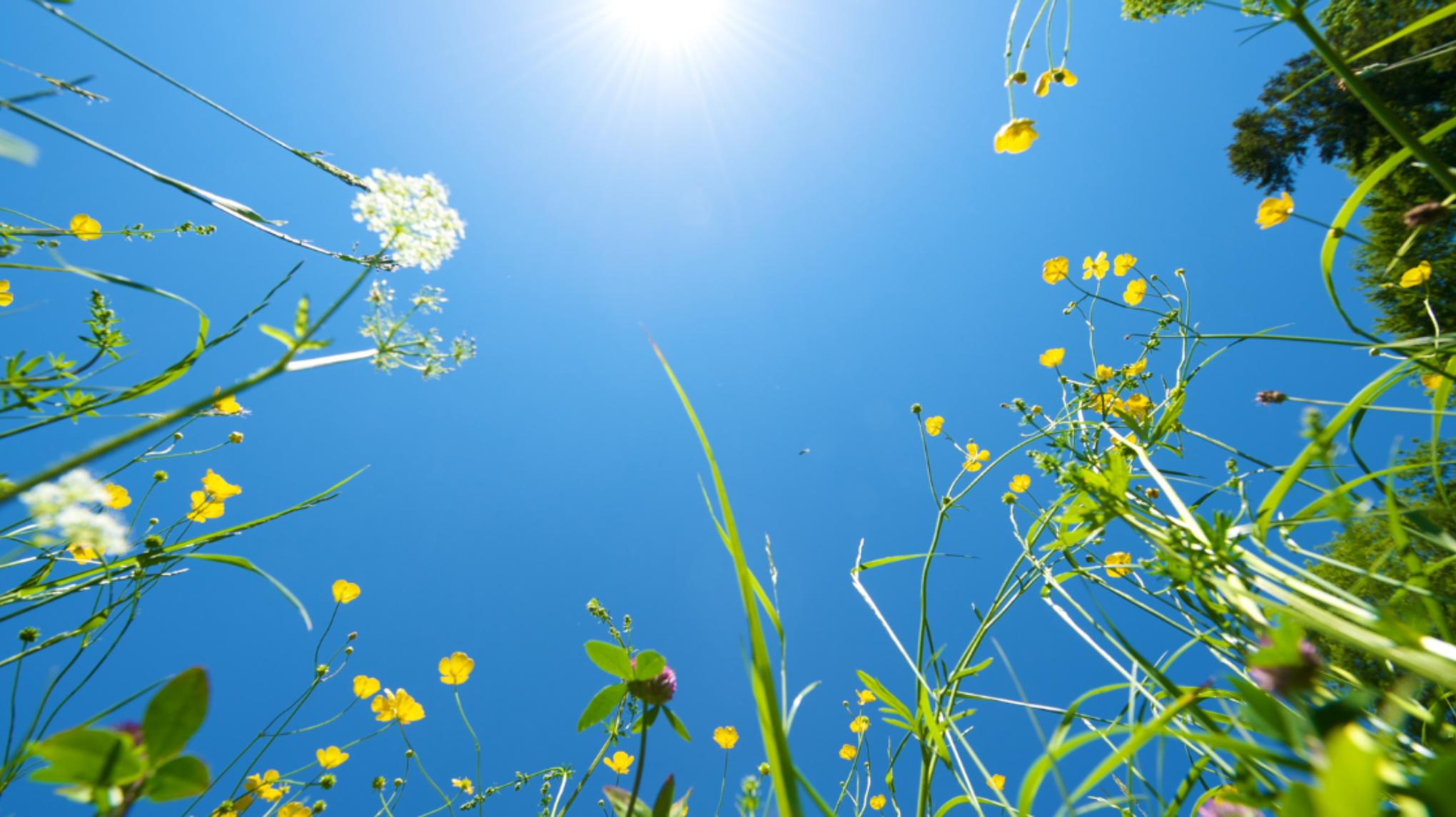 Rust & Reset – Ontspanning met Adem, Yin & Restorative