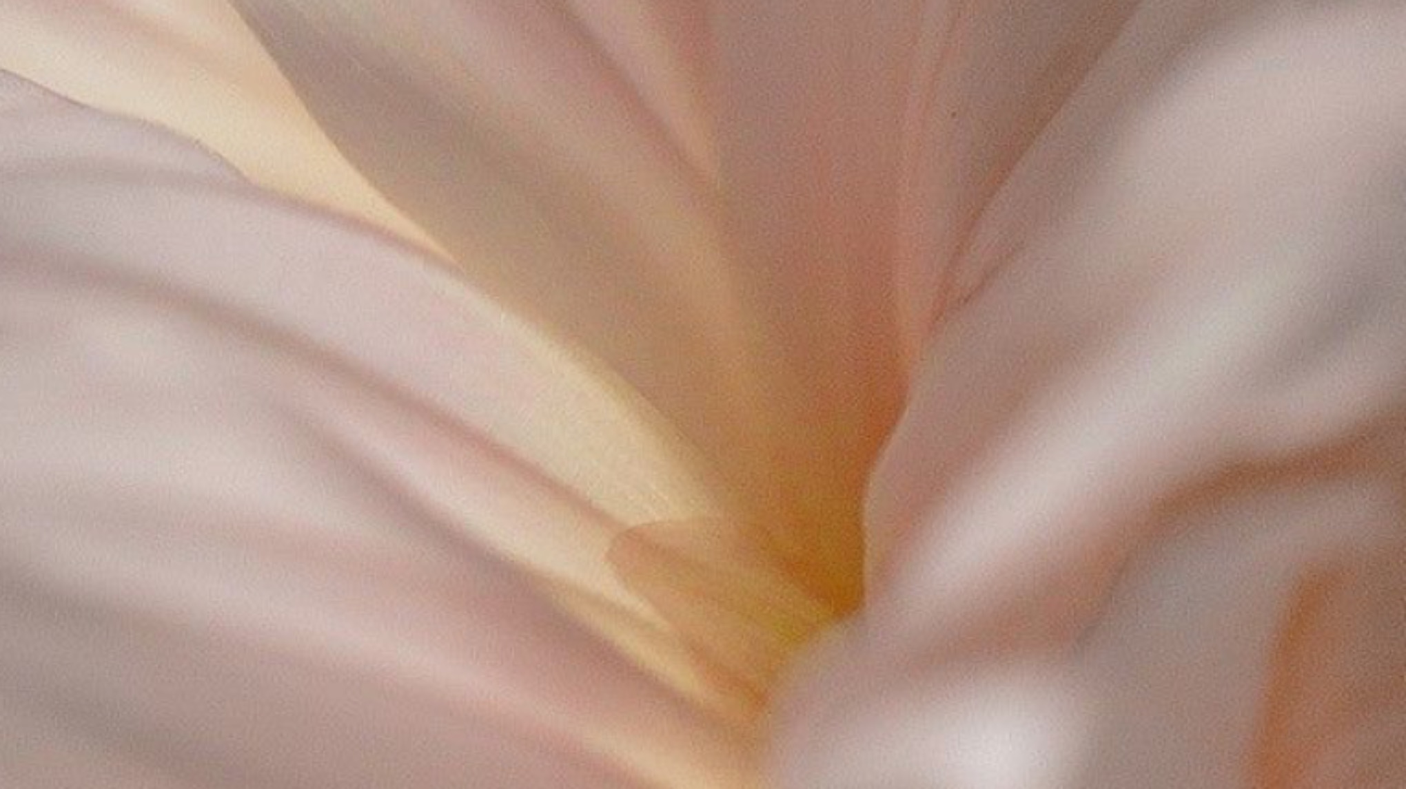 "Powerhouse" 5 Tage Kundalini Yoga Challenge