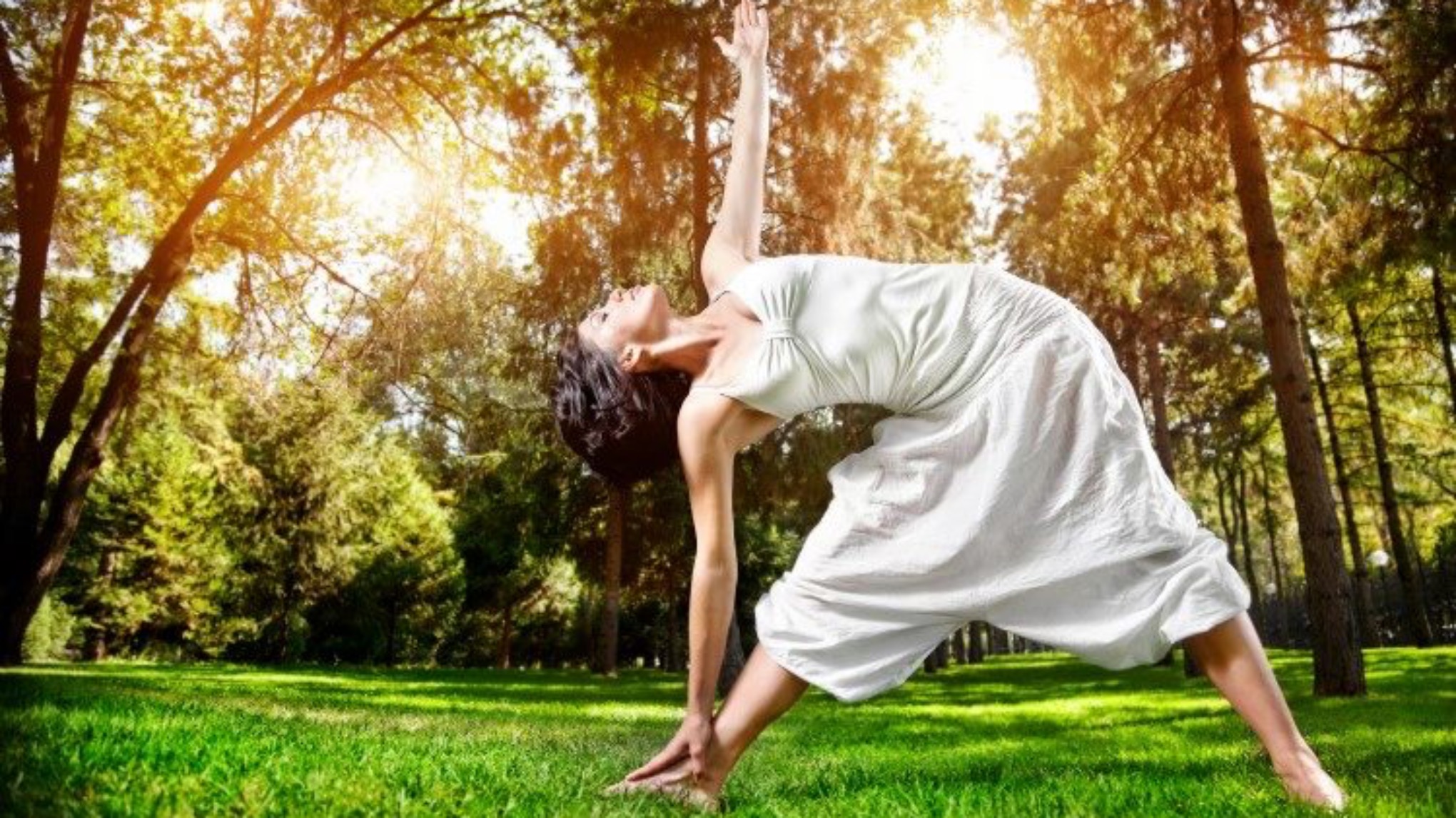 Workshop Lente Detox Yoga