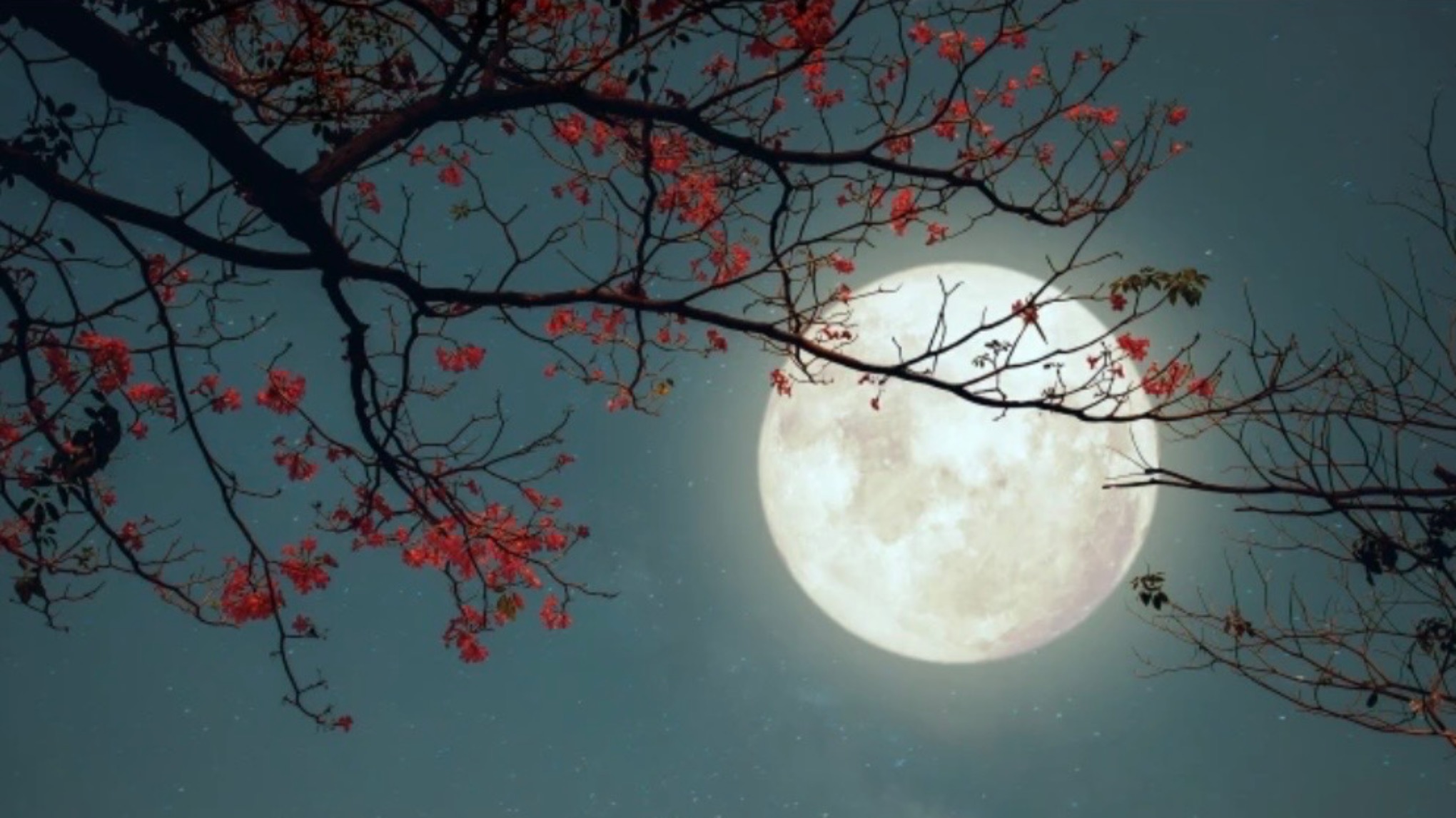 Full Moon Restorative - Yoga Nidra