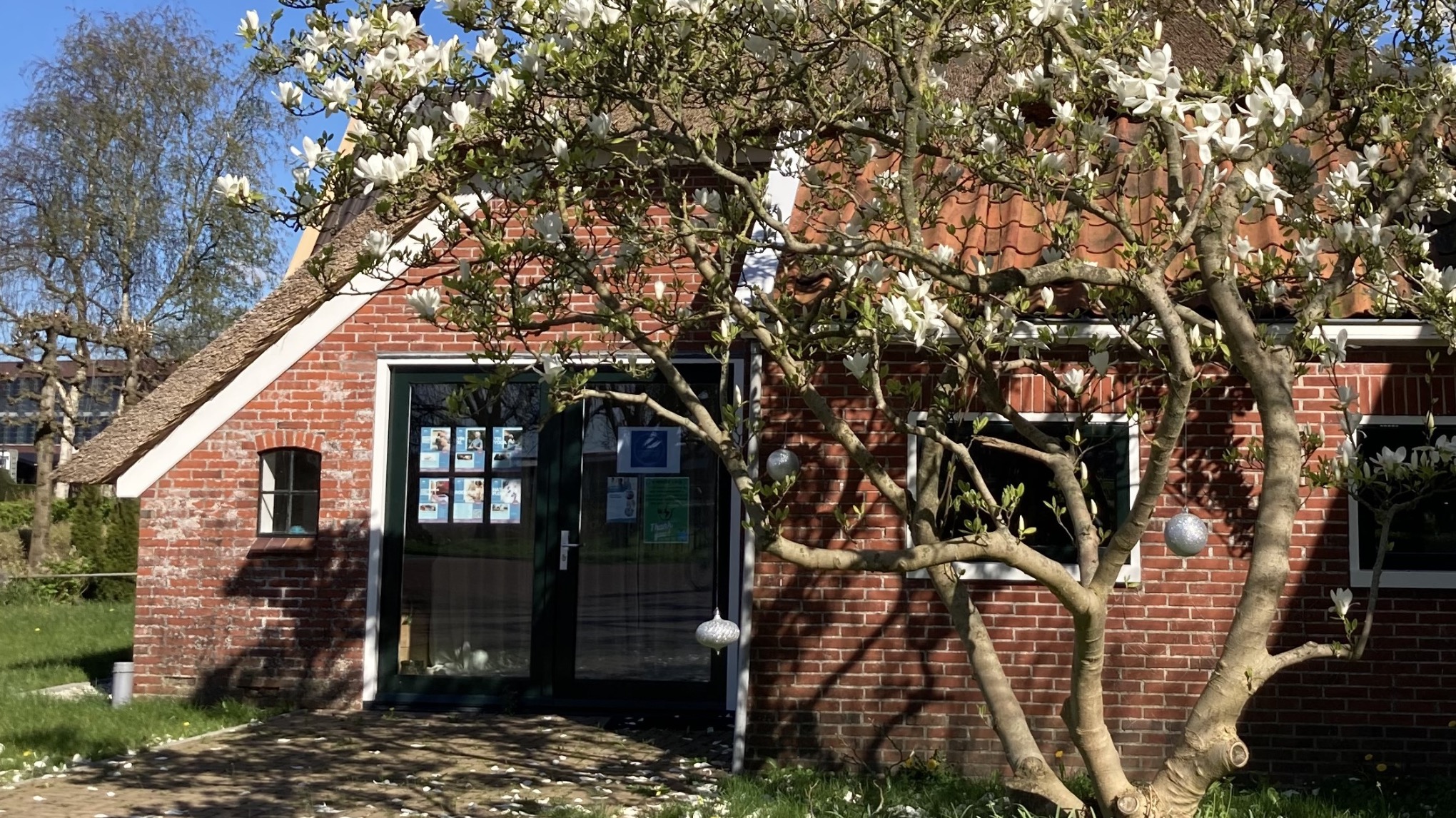 3-daagse anatomie training