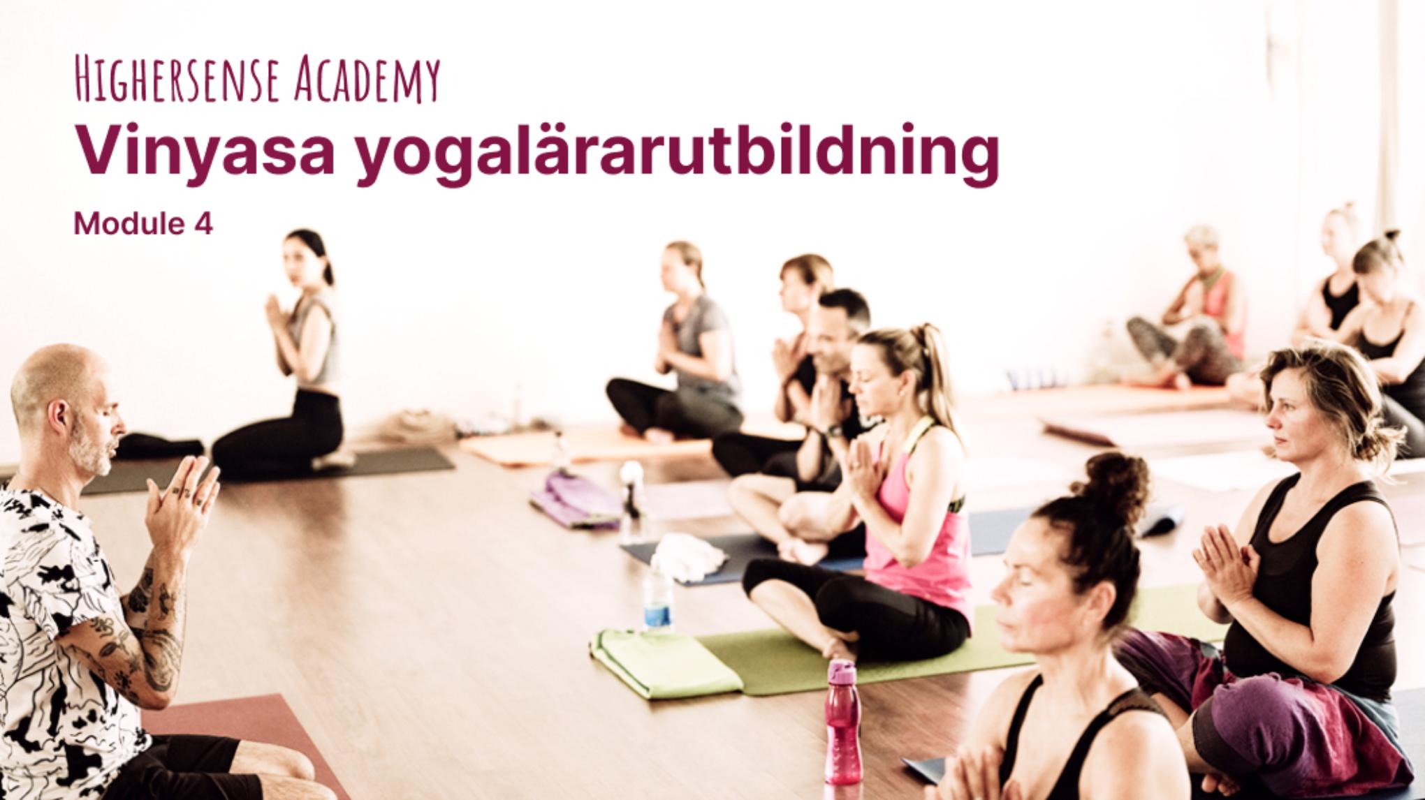 Highersense Academy: Vinyasa Teacher Training 200 h module 4