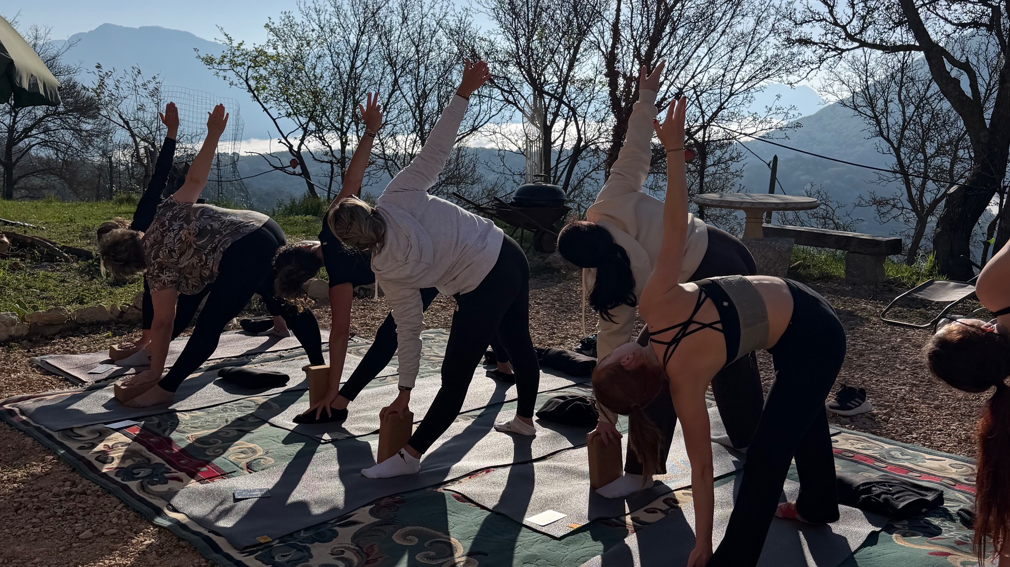 Parenthèse Jeune Lune 💐