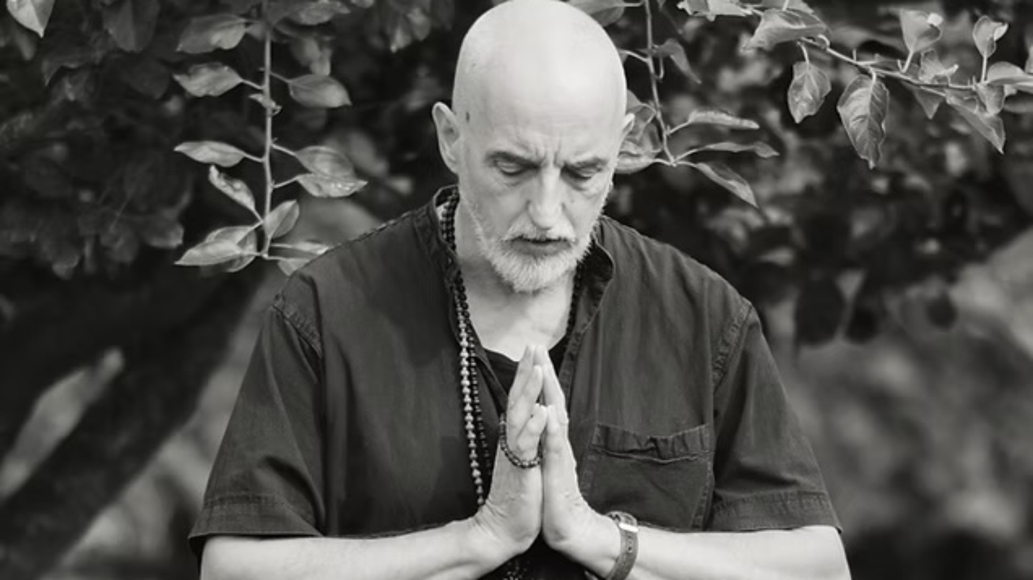 XL - The Pranic Body masterclass