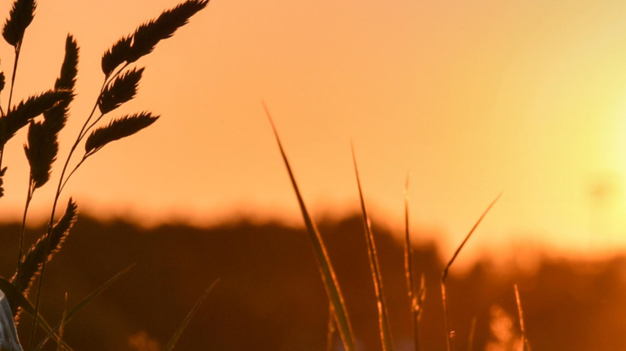 Summer Solstice Celebration