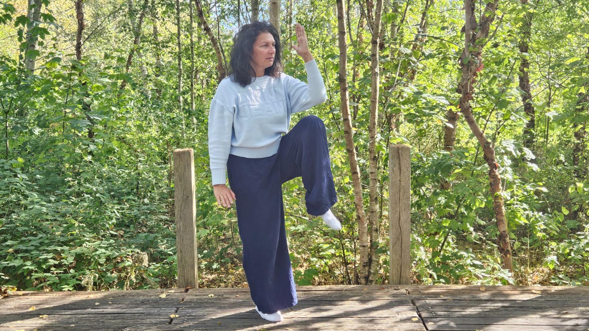 Qigong Sommerstart 2.06.-16.06. 20Uhr 45€