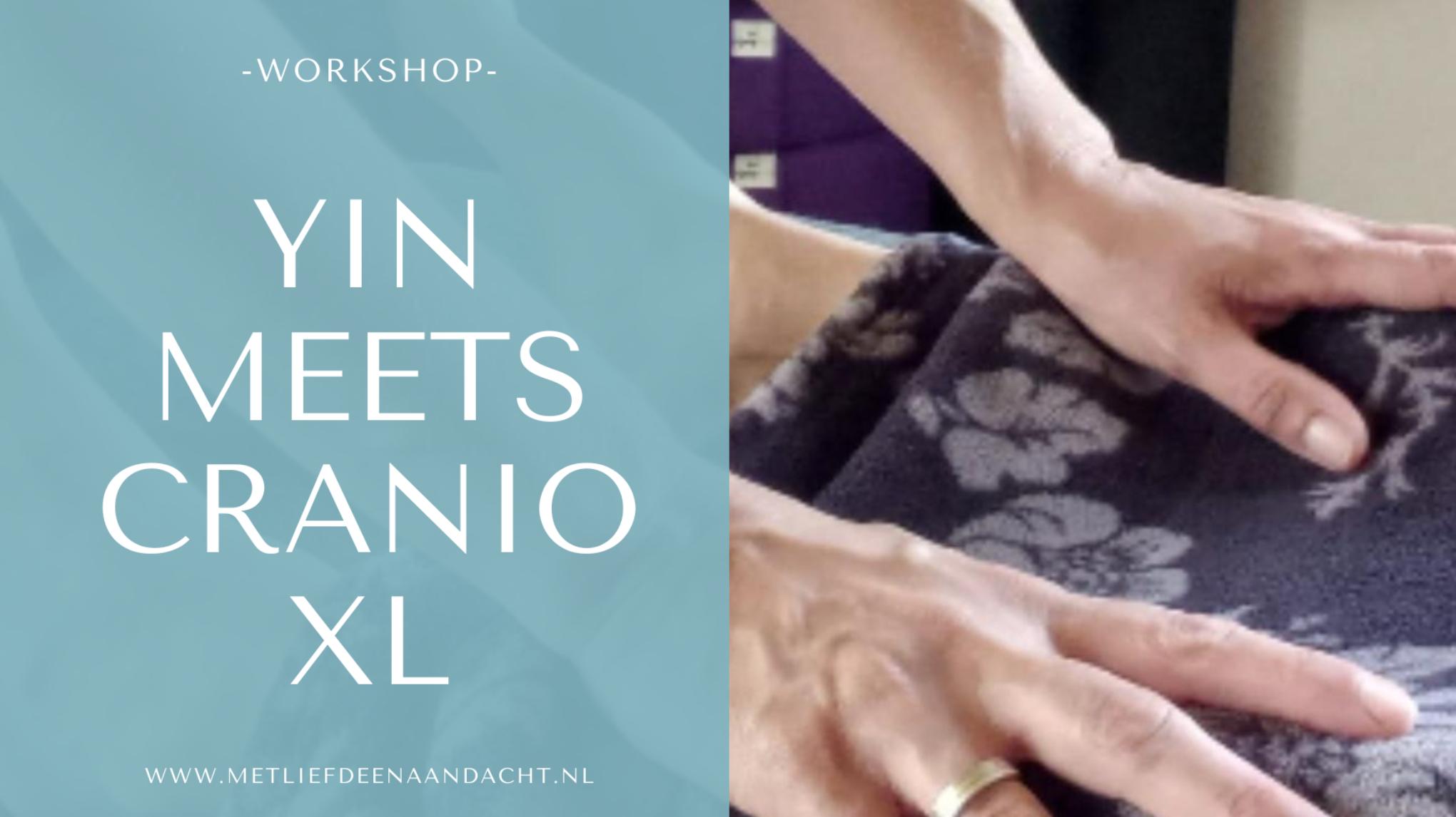 Yin meets Cranio XL