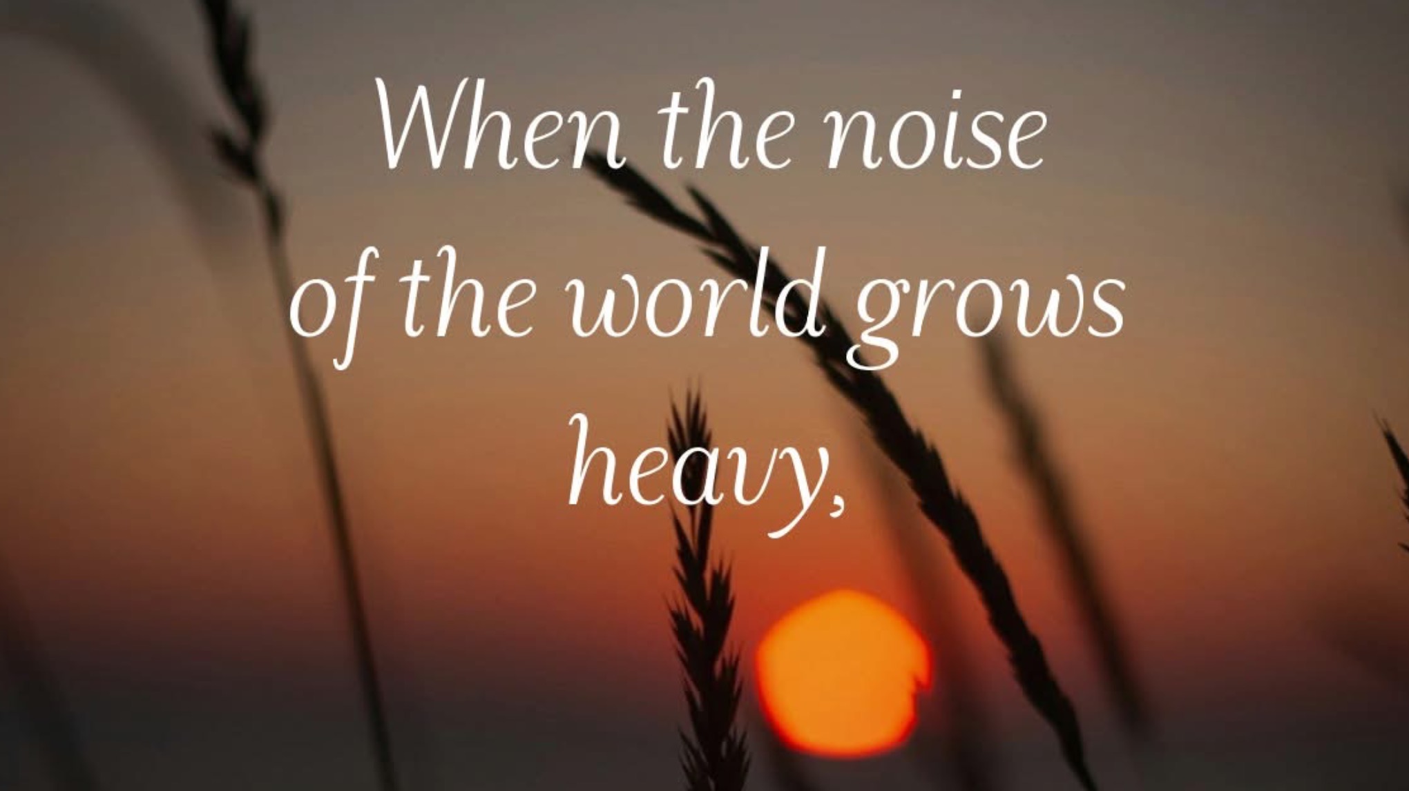 Yoga Nidra (NSDR)