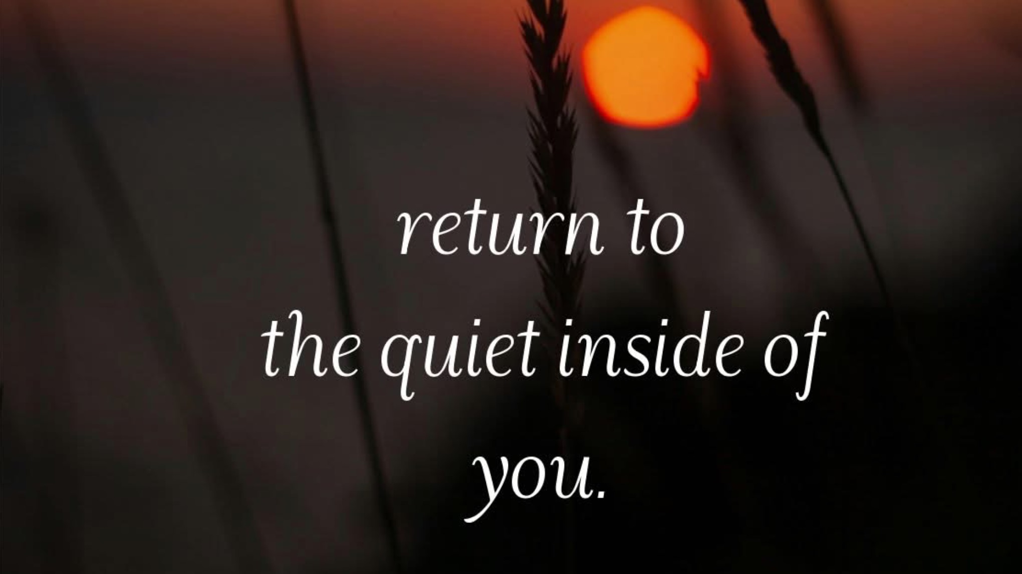Yoga Nidra (NSDR)