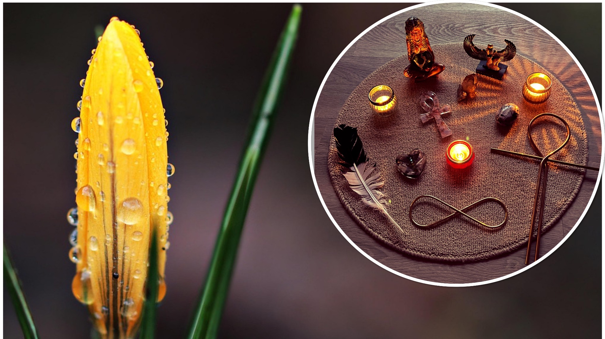 Kundalini Activatie: Lentebloei & Levenskracht