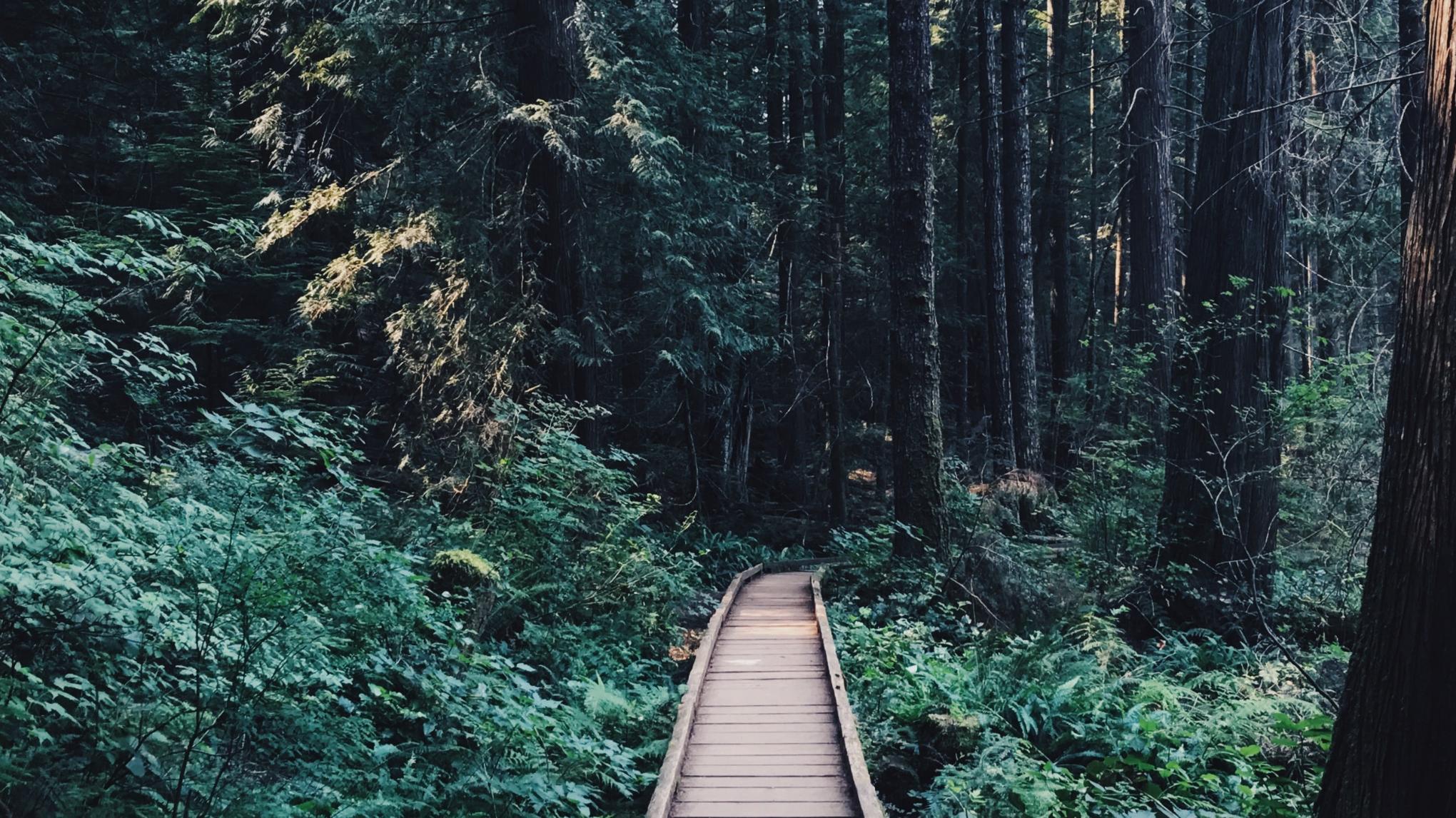 Coming Home to Meditation