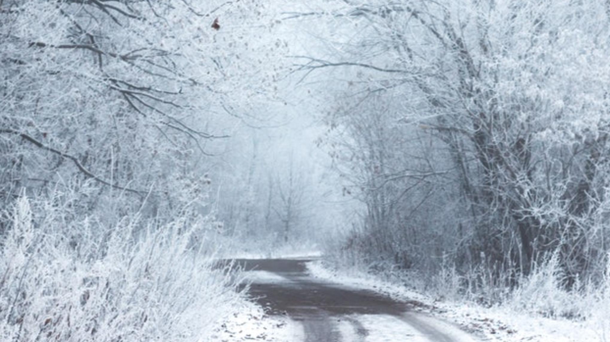 Winter Solstice - Restorative Yoga + Yoga Nidra Immersion