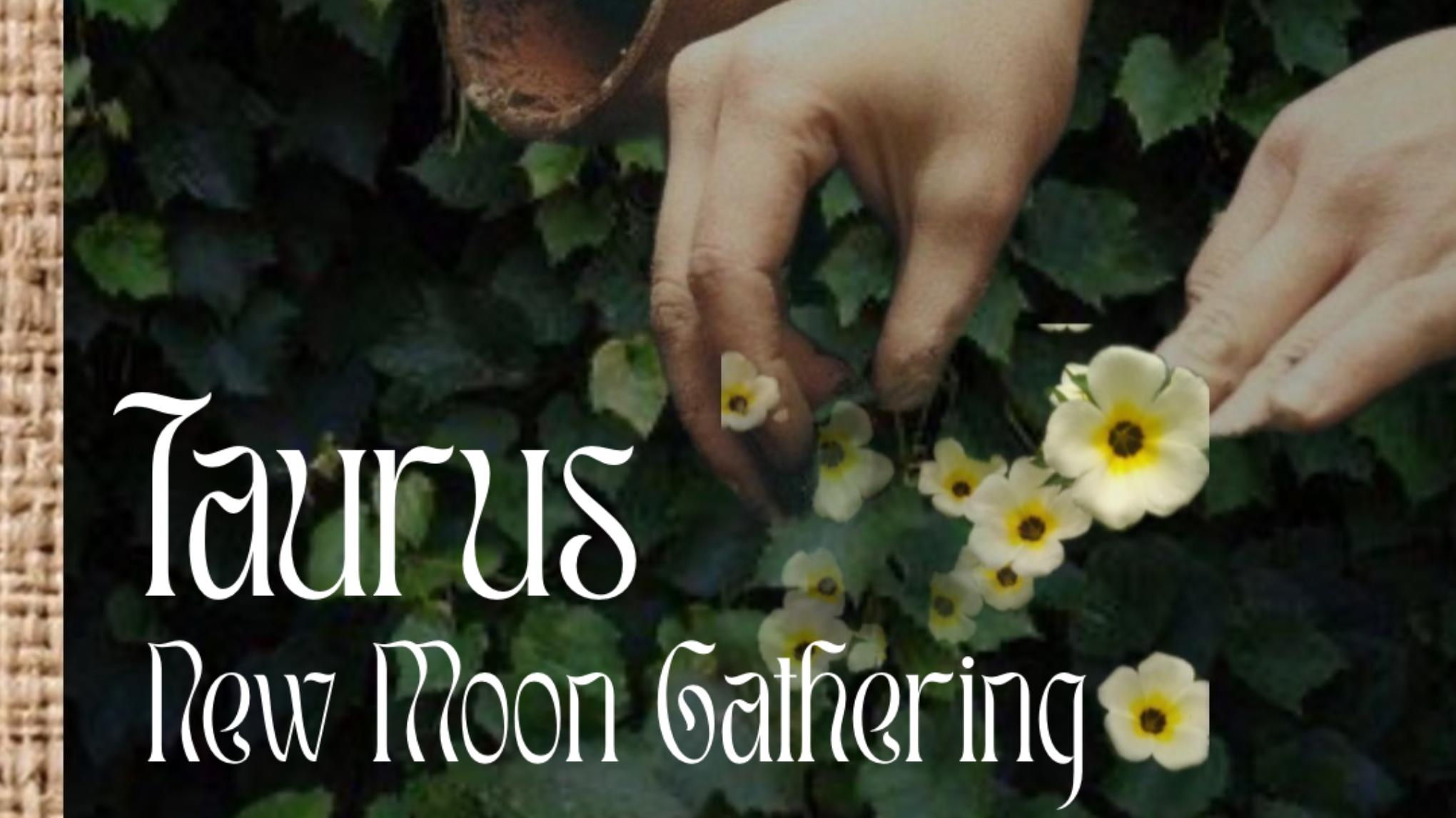 Taurus New Moon Gathering