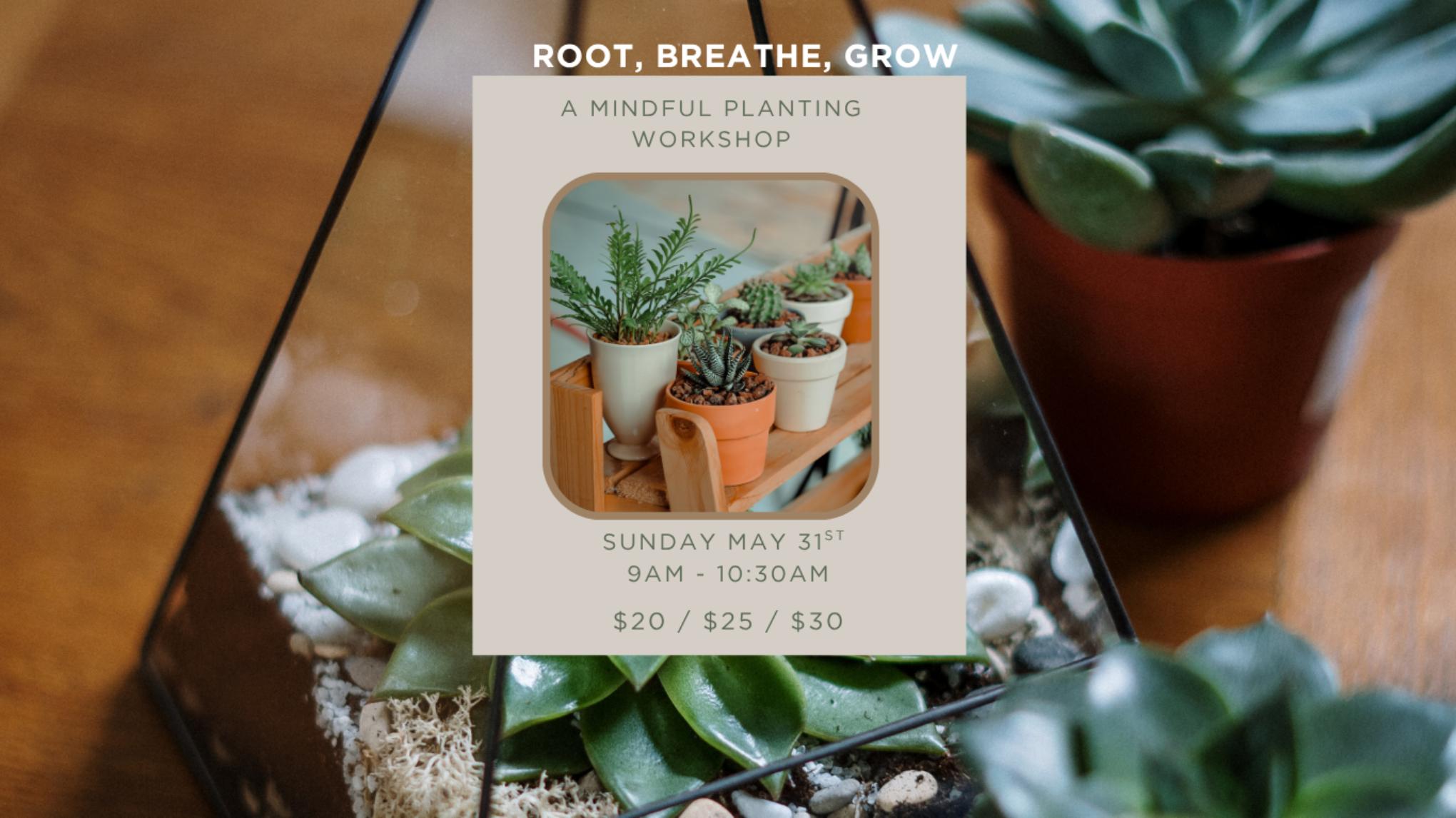 Root, Breathe, Grow: A Mindful Planting Workshop