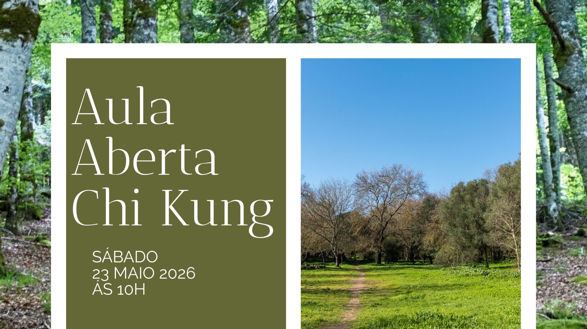 🌳 aula aberta de chi kung, na Mata de Alvalade, 23 de Maio às  10h 🌳