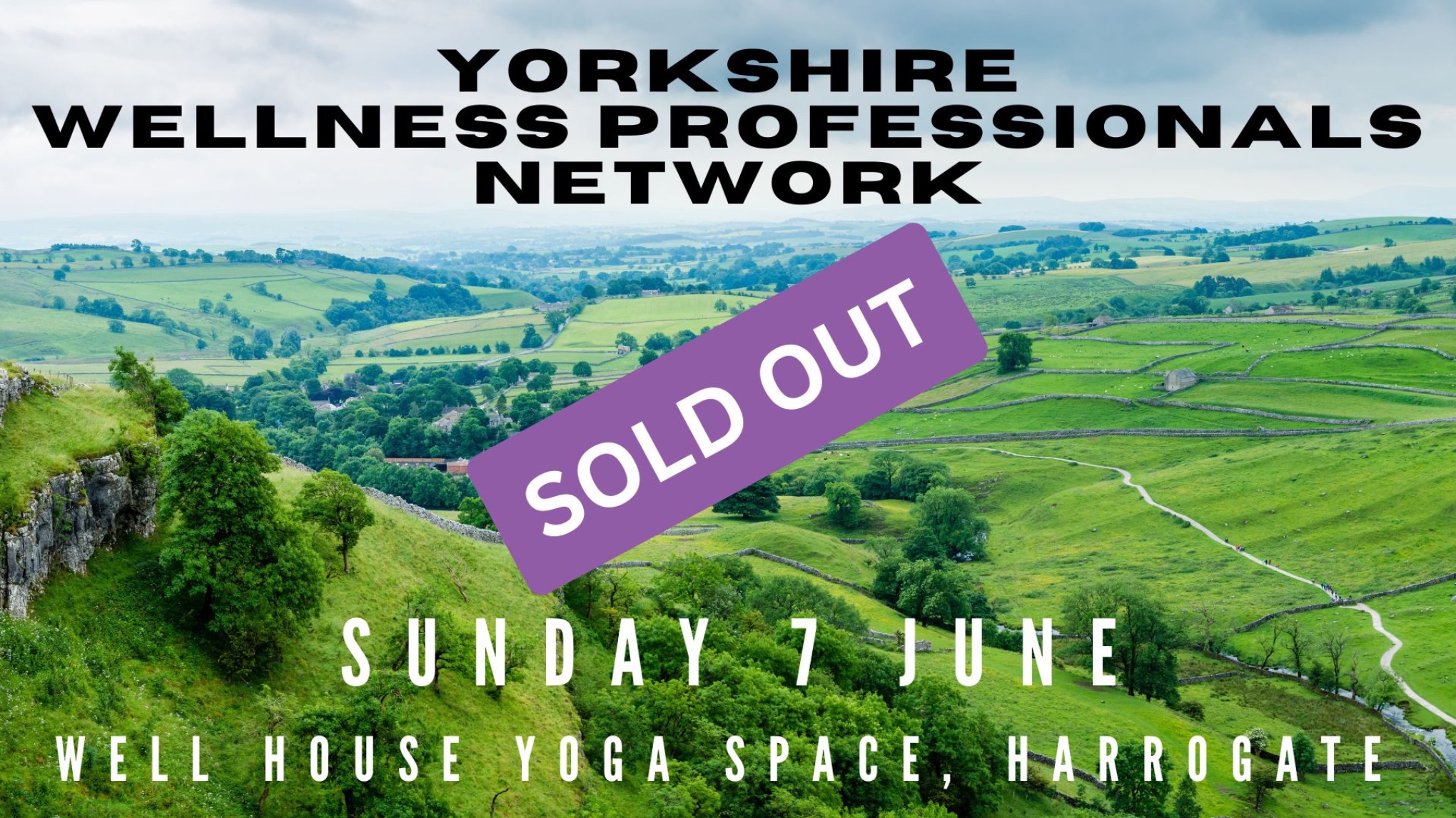 Yorkshire Wellness Professionals Network  - June