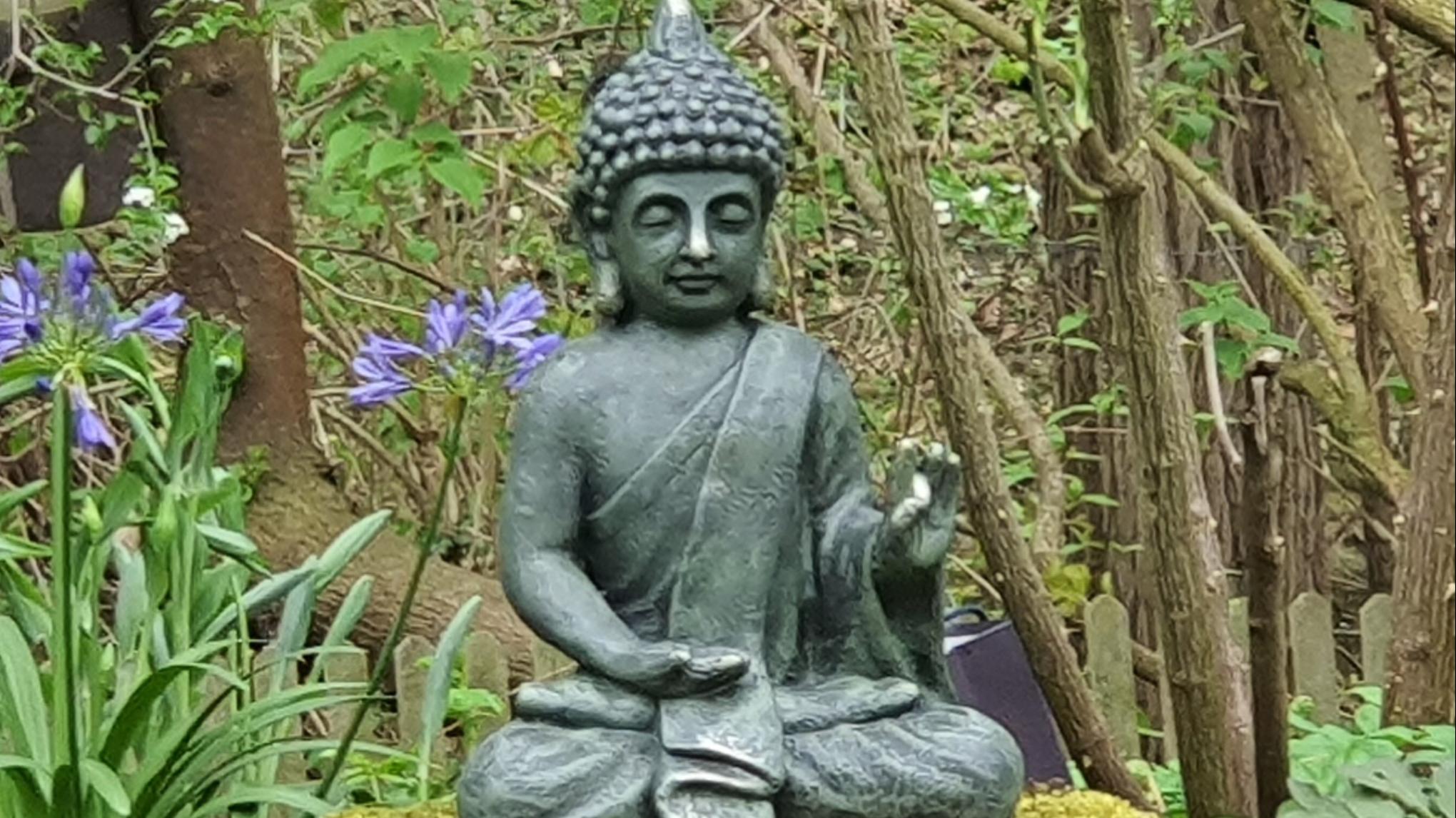 Meditationsworkshop am 30.06.2026 in Erfurt