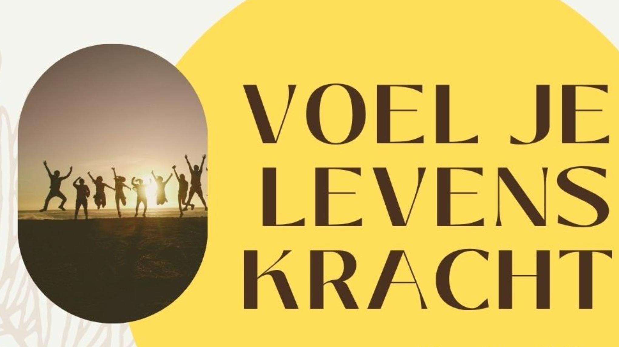 Voel je Levenskracht, stembevrijding / prijs 50,80 , je ontvangt betaallink