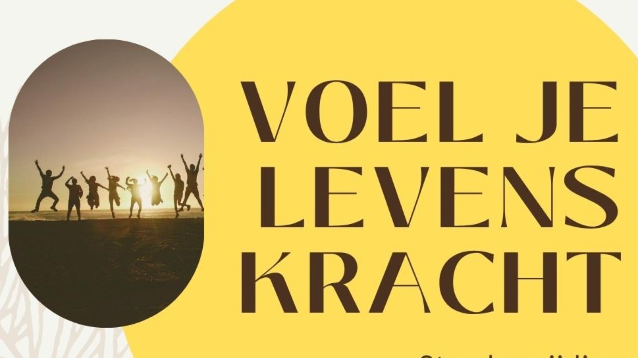 Voel je Levenskracht, stembevrijding / prijs 50,80 , je ontvangt betaallink