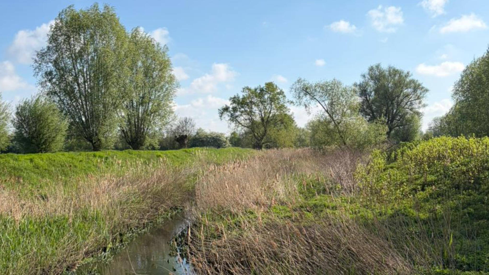 Pure Moves Wandeling 24.05.26