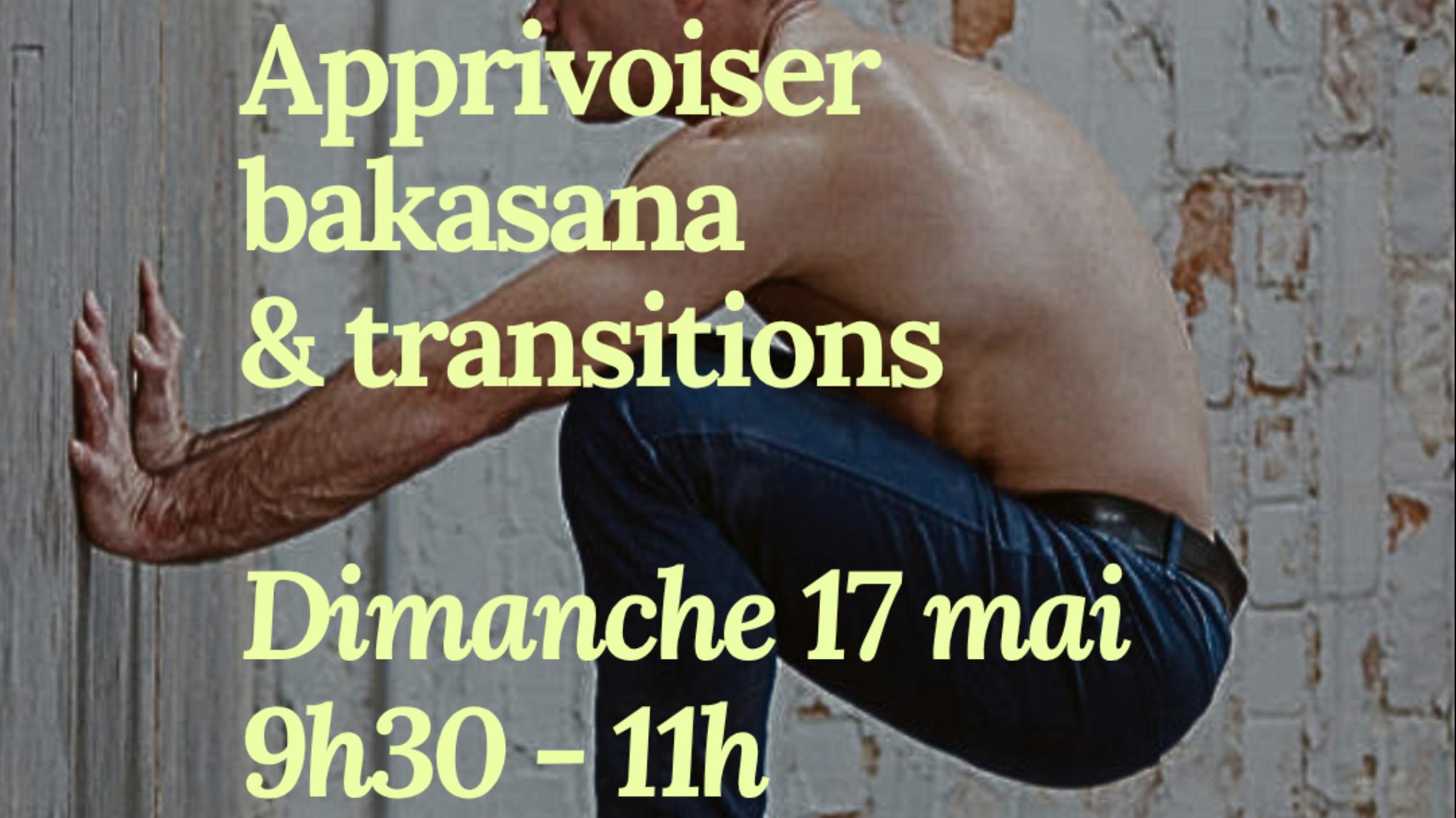 masterclass : Apprivoiser bakasana & transitions
