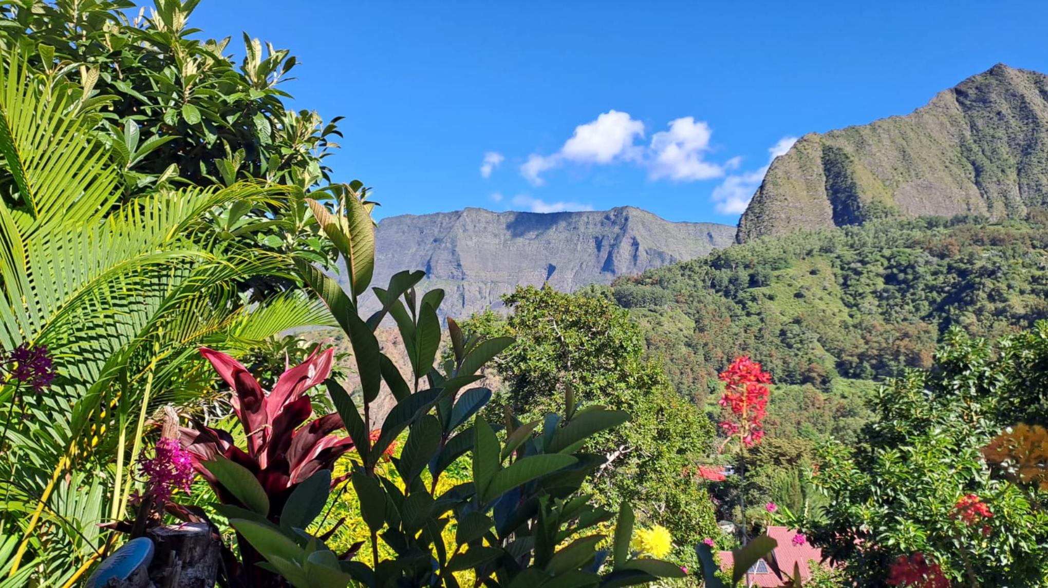 Rencontre intense : Une énergie tropicale