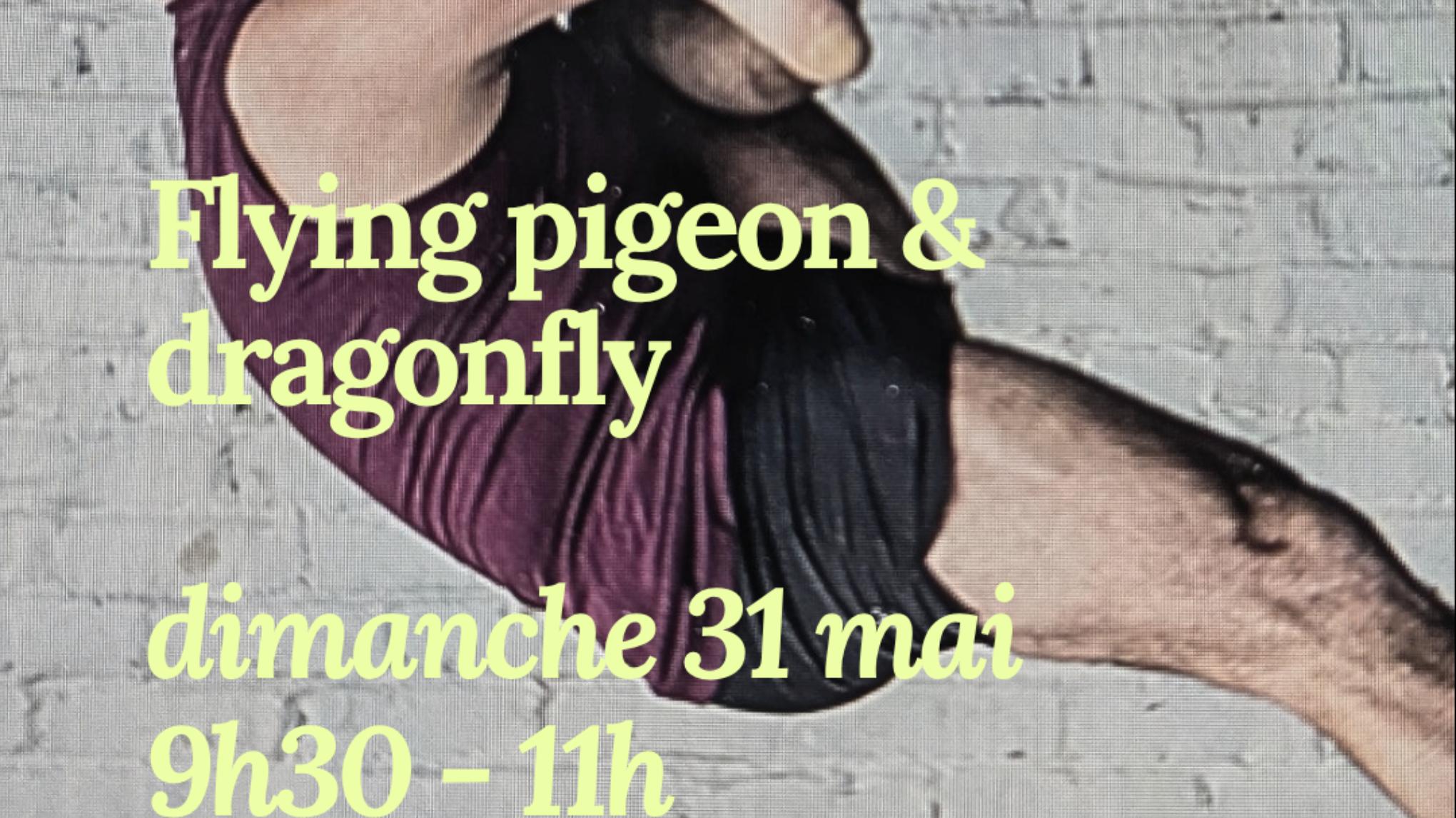 masterclass : Flying pigeon & dragonfly
