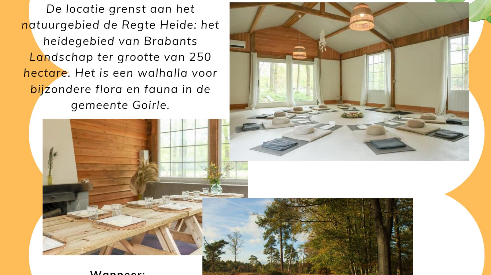 Zomerdagretreat Sound, yoga & natuur
