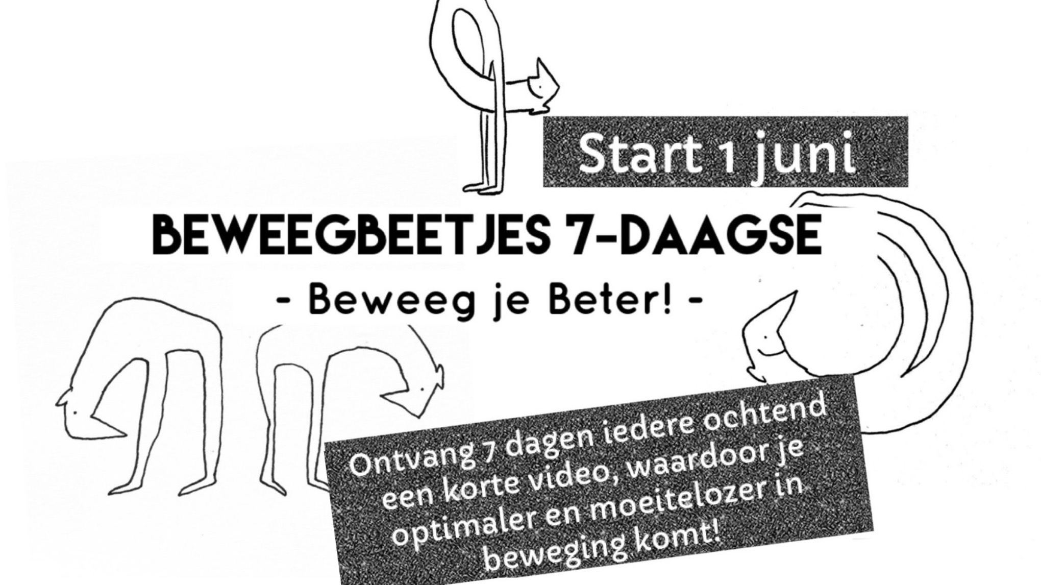 * Beweegbeetjes 7-daagse: Beweeg je Beter! *
