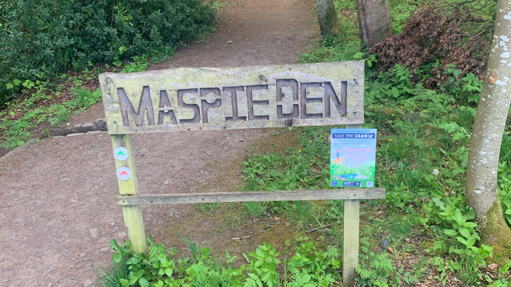 Gimmie Wellbeing - £FREE Pillars of Hercules to Maspie Den woodland walk