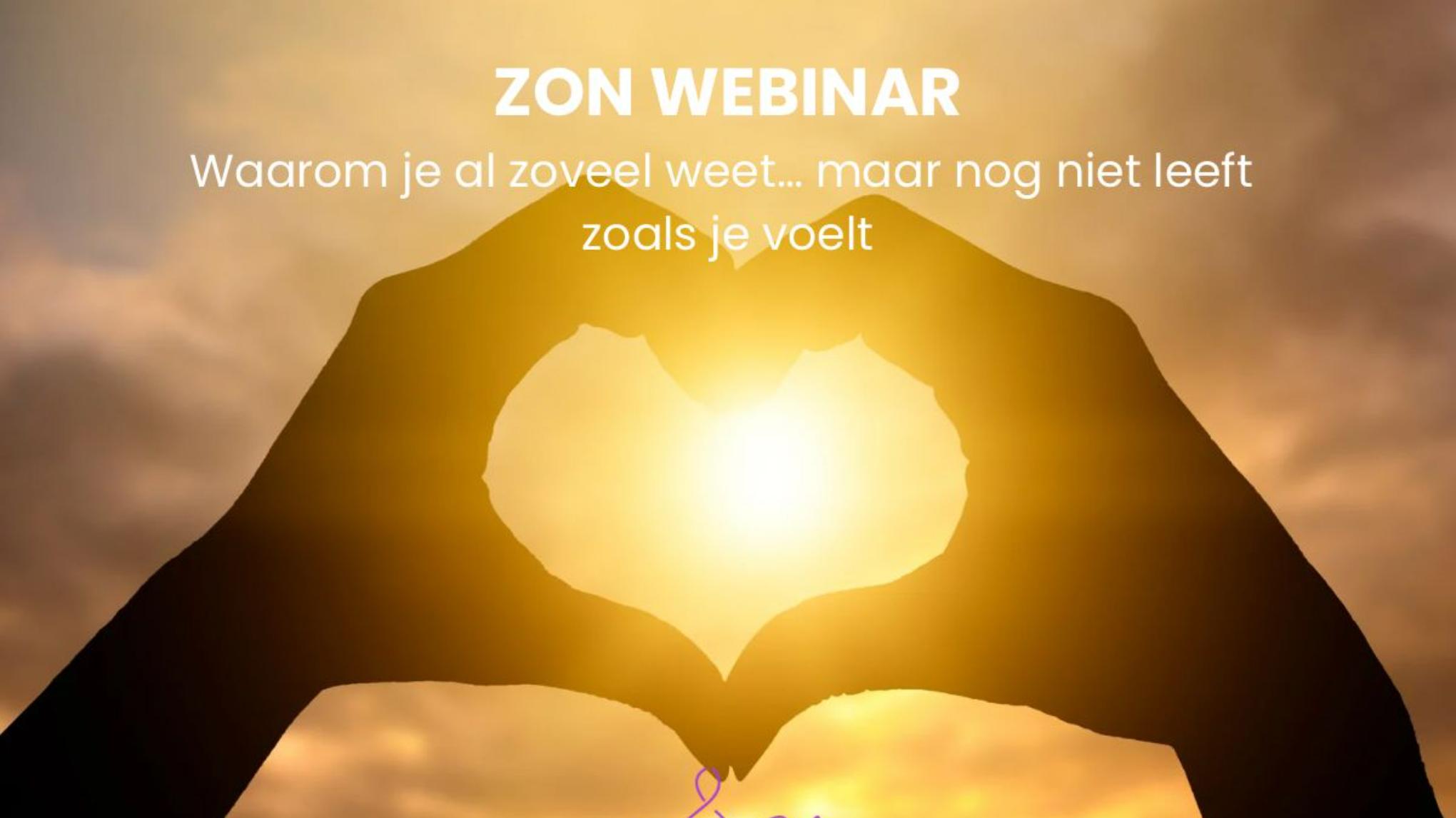 ZON Webinar