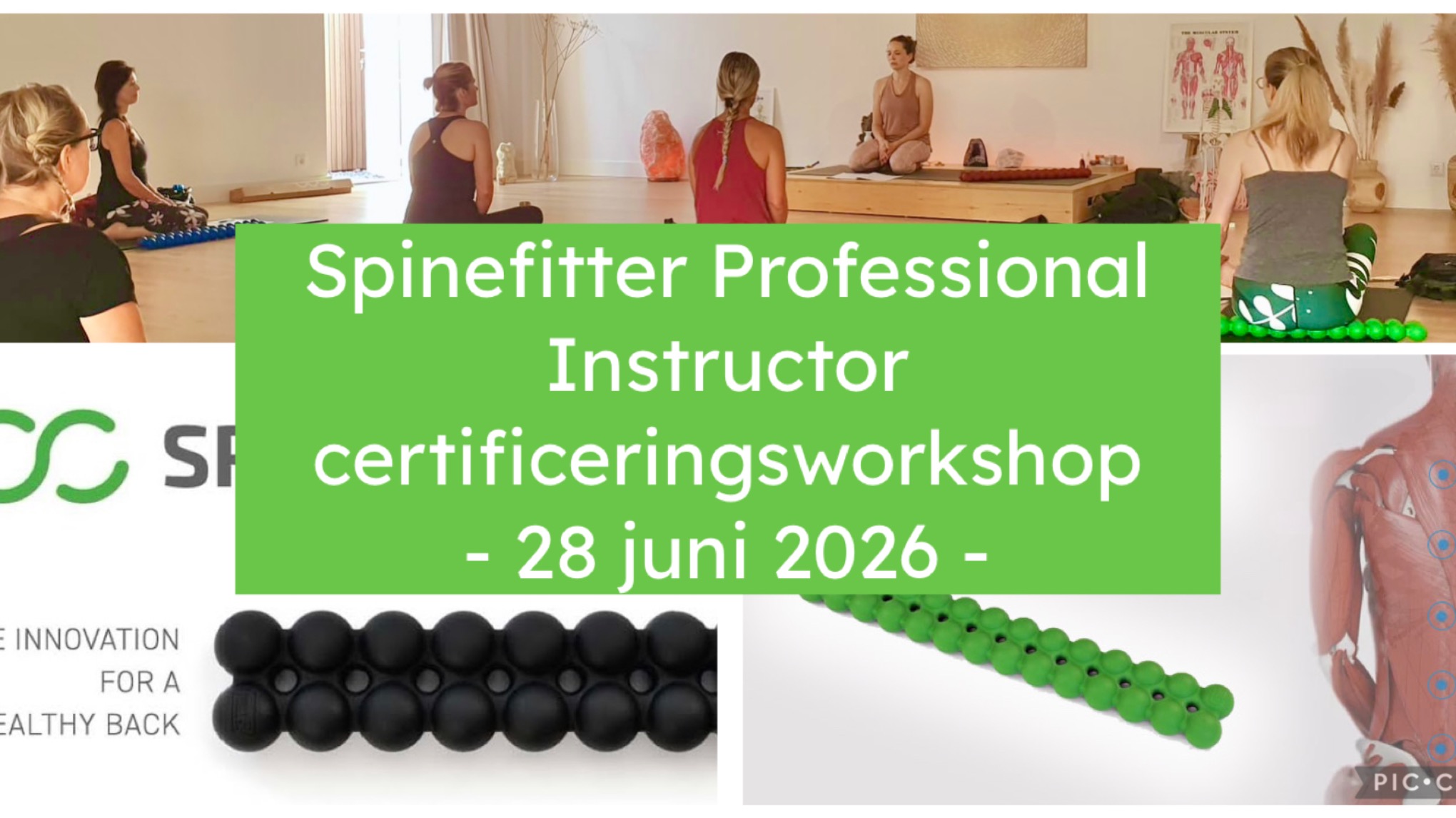 Spinefitter Professional certificeringsworkshop