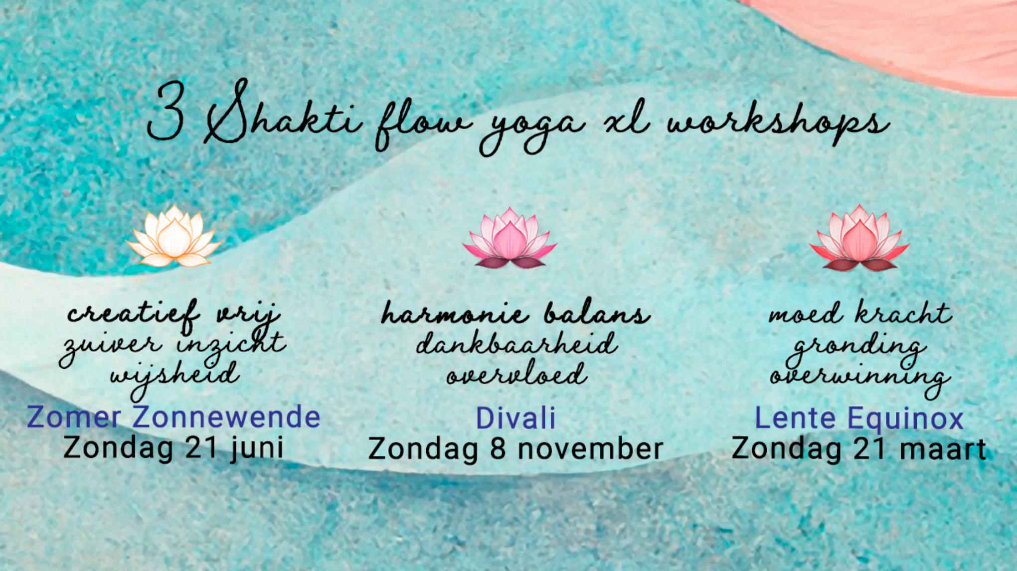 3 Nieuwe Shakti Flow Workshops