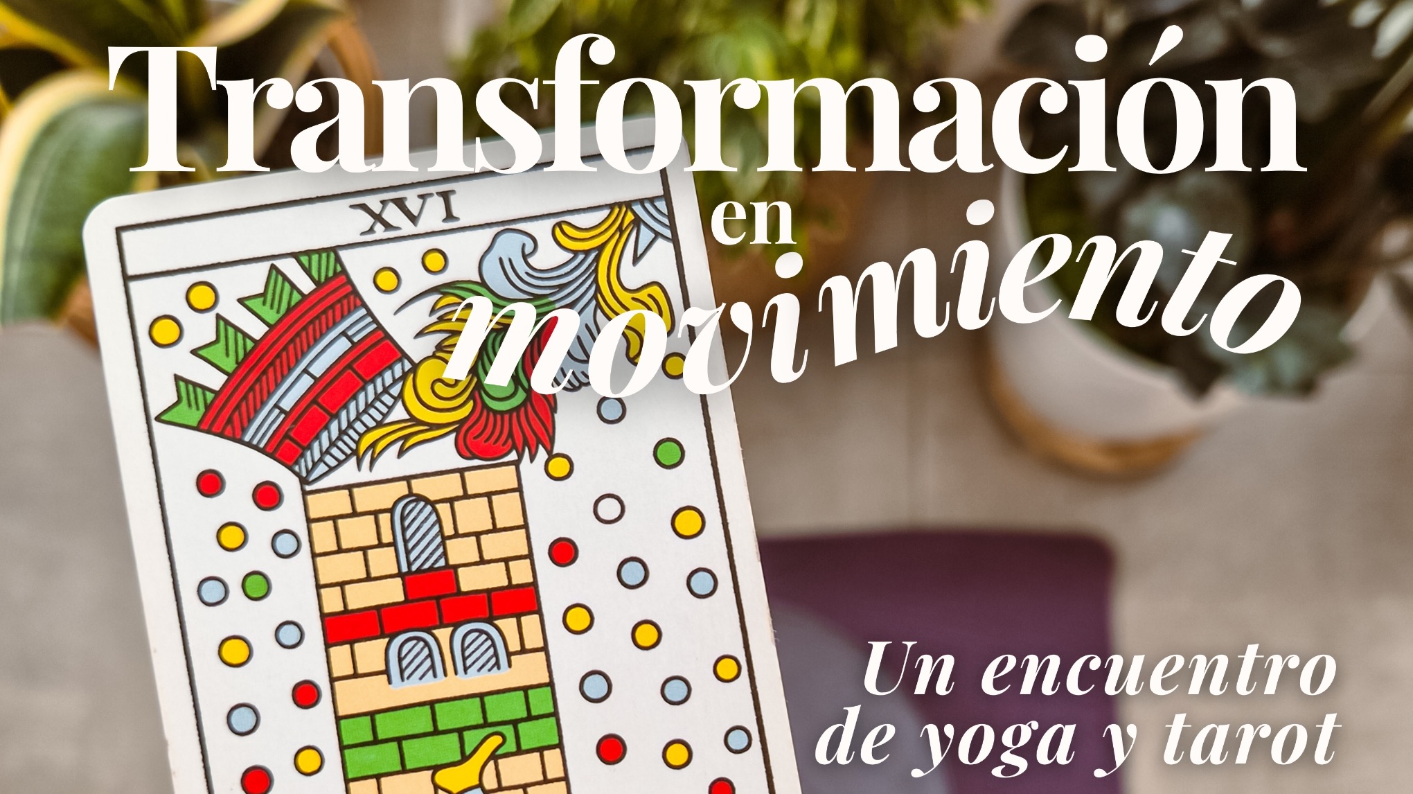 Transformación en movimiento