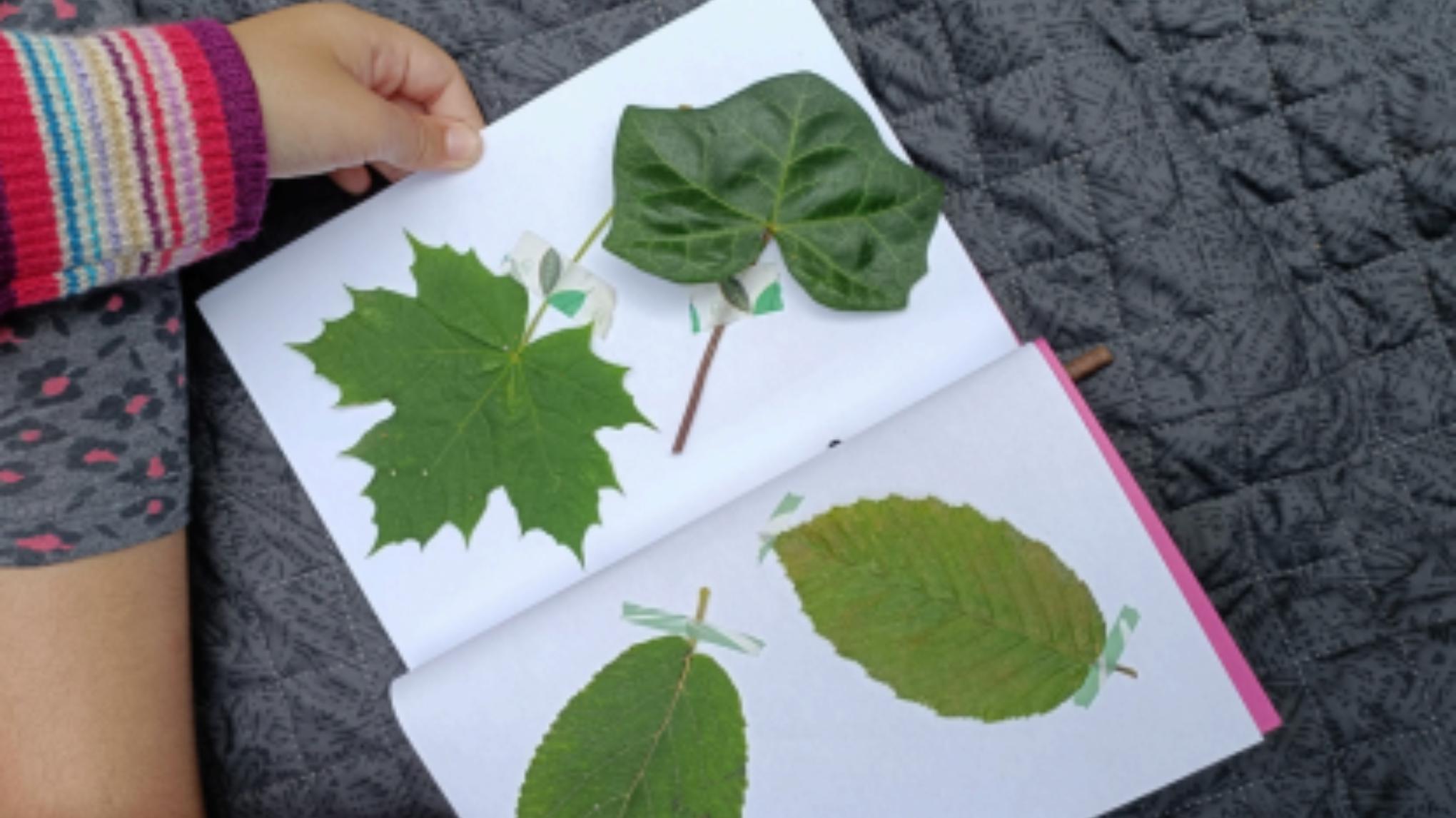 Atelier baby yoga et éveil à la nature ! Parents/enfants 2-6 ans