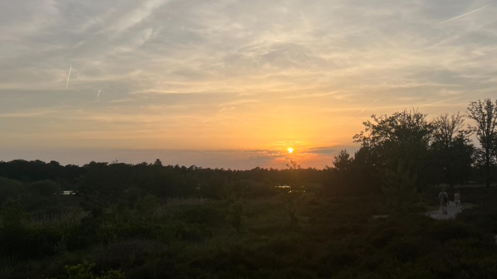 Zomeravond Wandeling