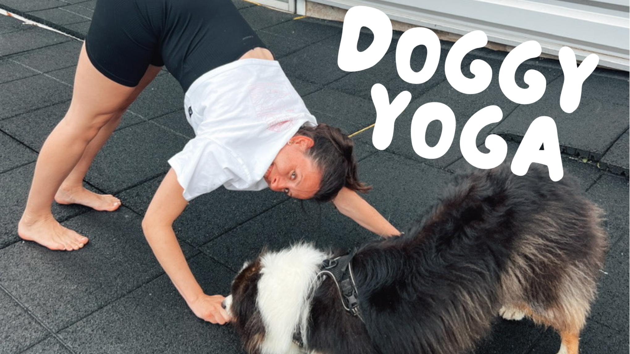 Doggy Yoga