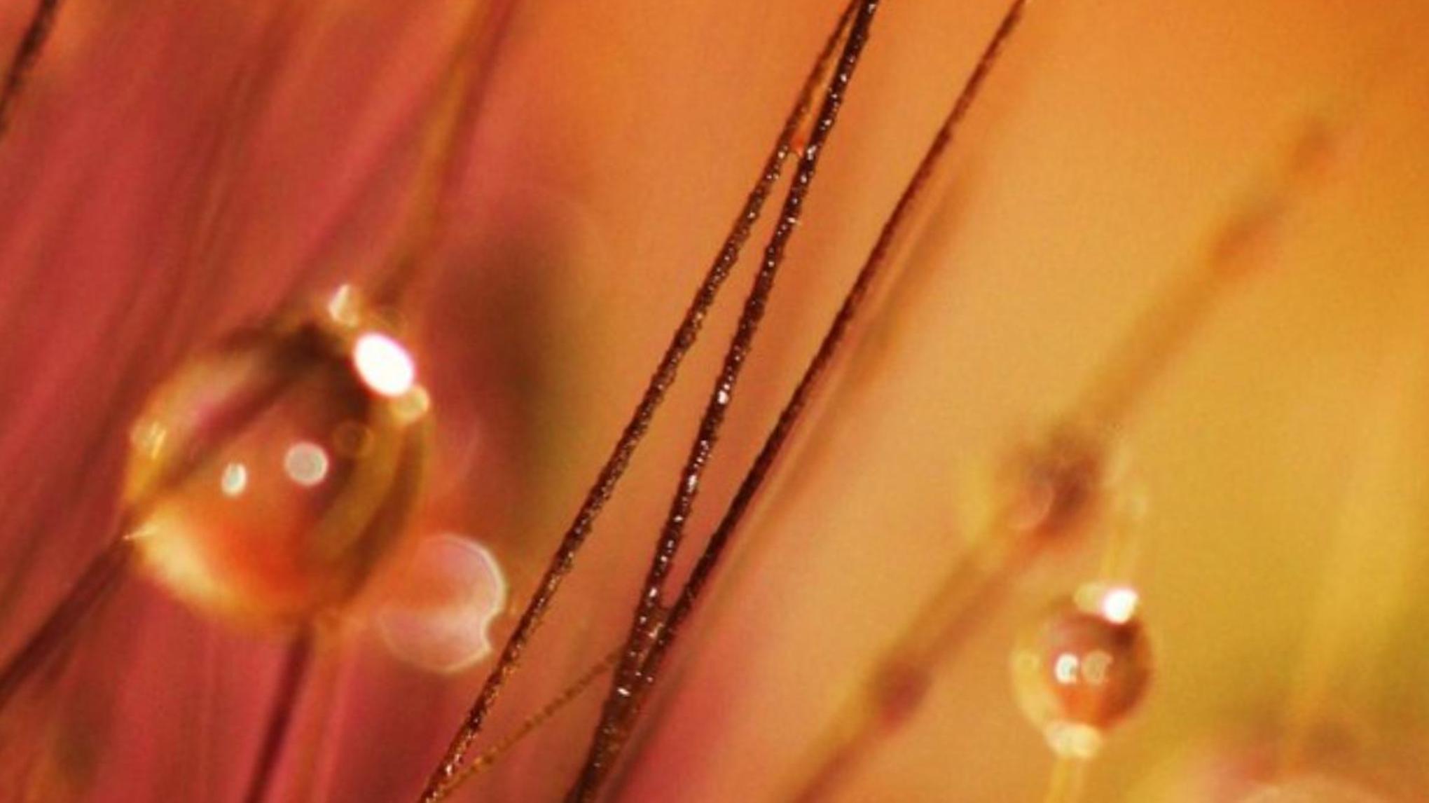 Special Restorative Yoga en eindontspanning met klankschalen