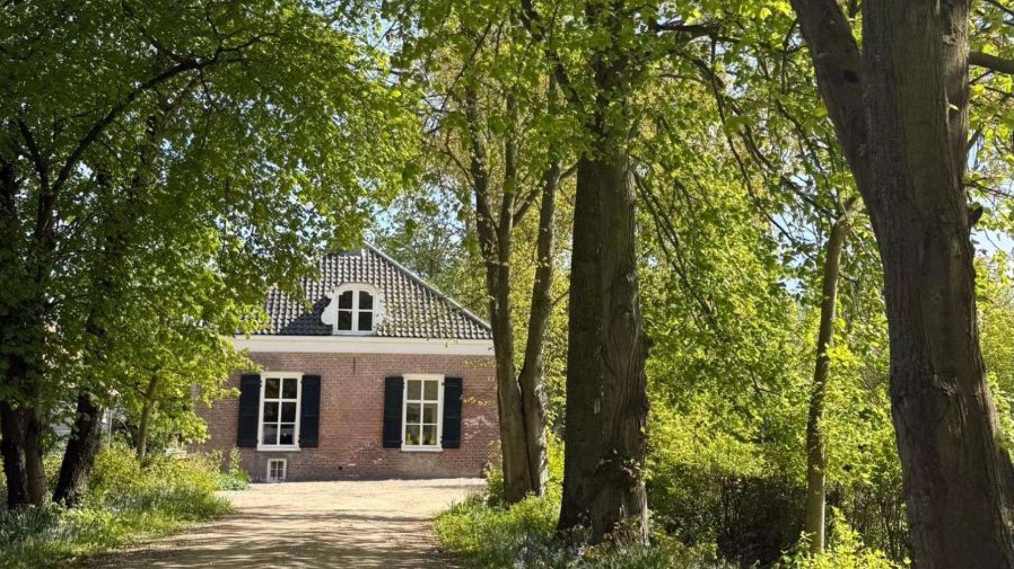 Lua Retreats🐚 yoga & food - Zeeland (NL) zomer-editie