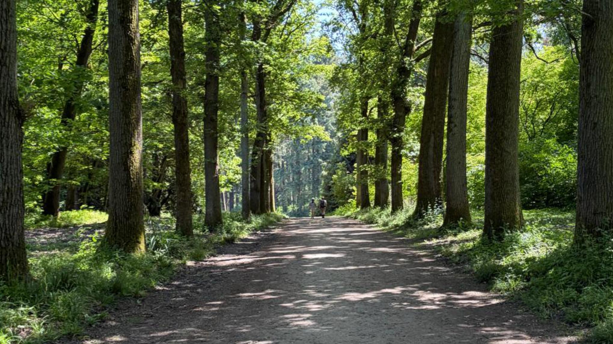 Pure Moves Wandeling 14.06.2026