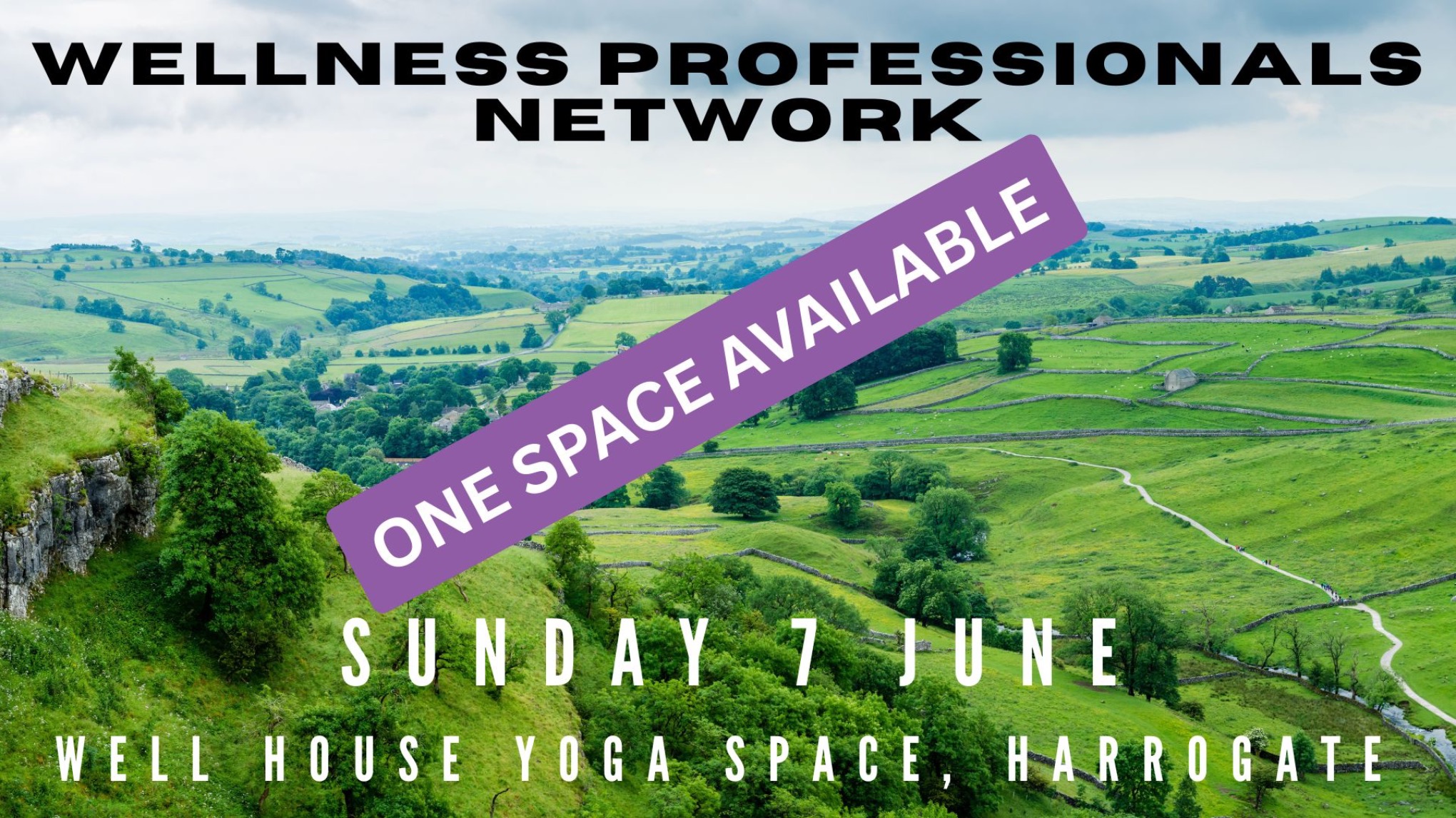 Yorkshire Wellness Professionals Network  - June