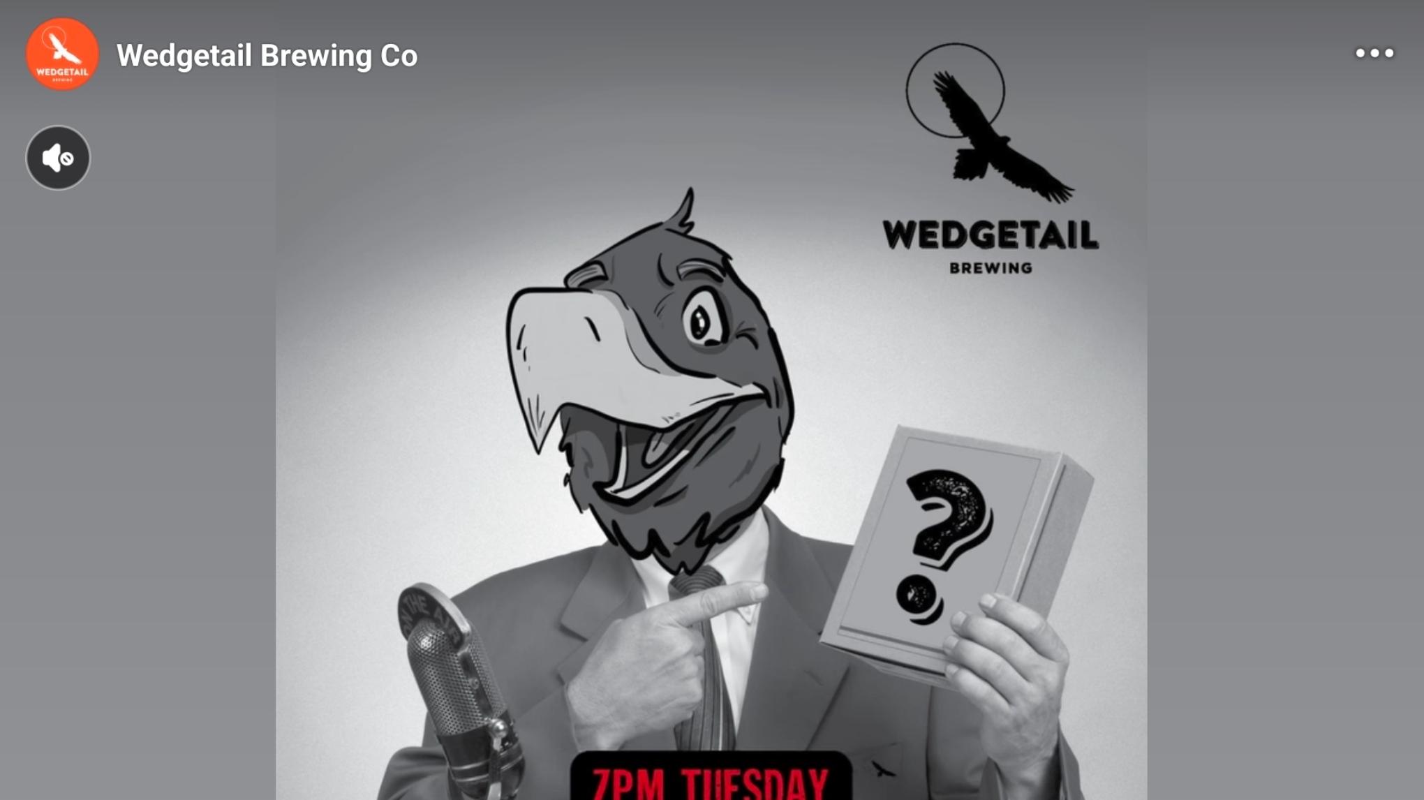 Wedgetail Quiz Night