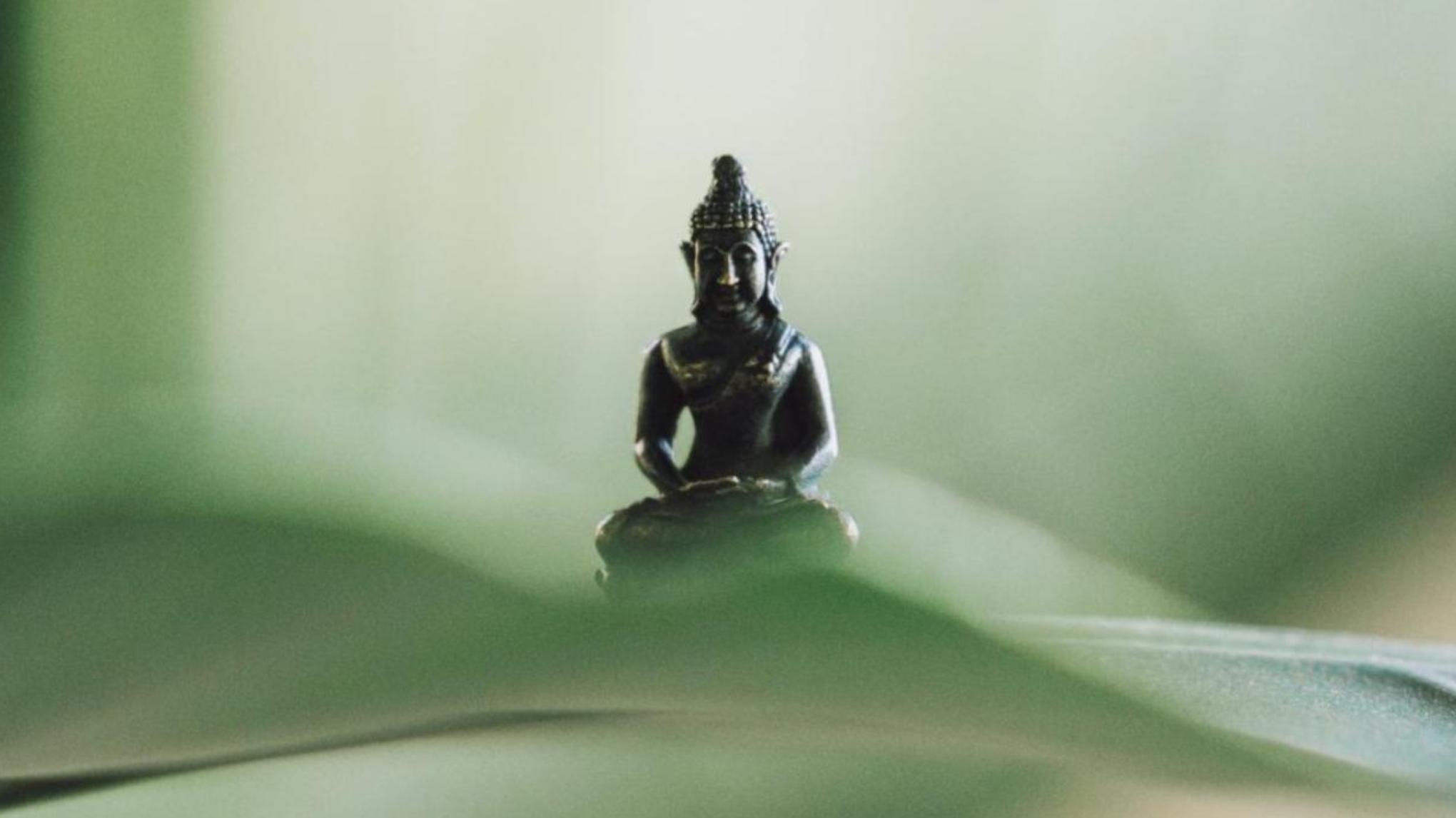 Hatha Yoga II - 07.07.26 bis 13.10.26