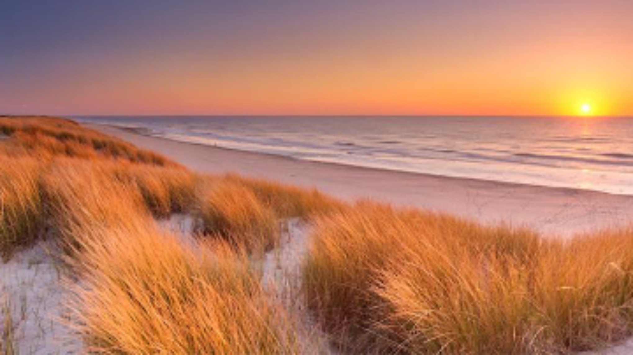 Ruimte in je Hoofd – Mindfulness voor een druk hoofd