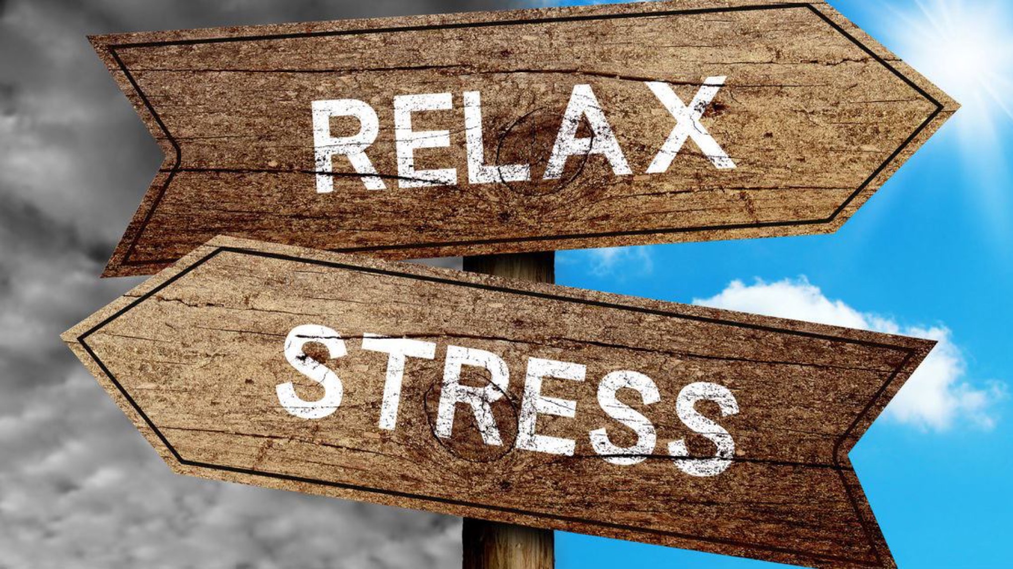 Release & Reset: In balans met Yoga Nidra, Yoga en somatics