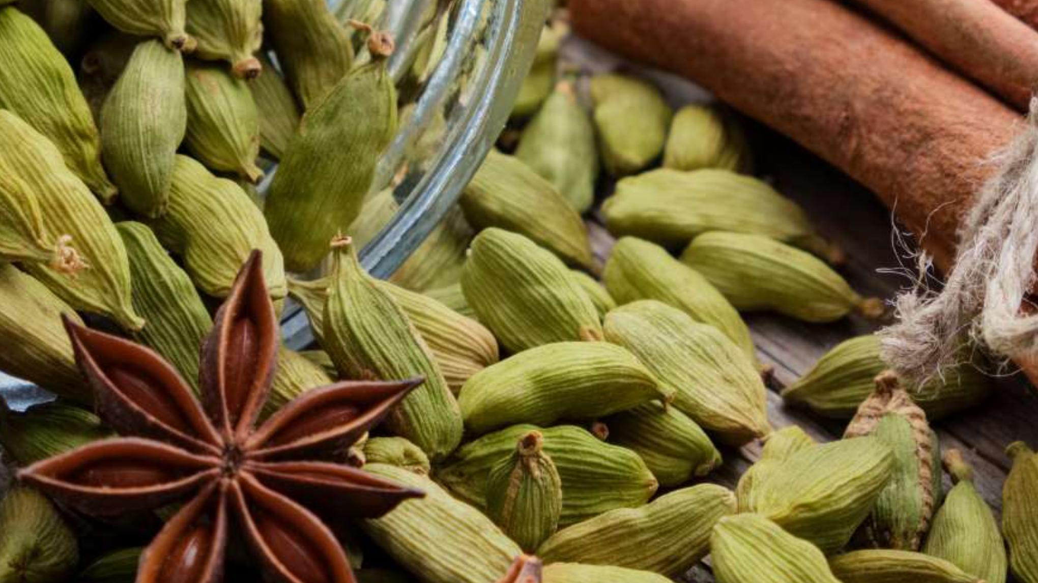 Ayurveda Food Journey (2)