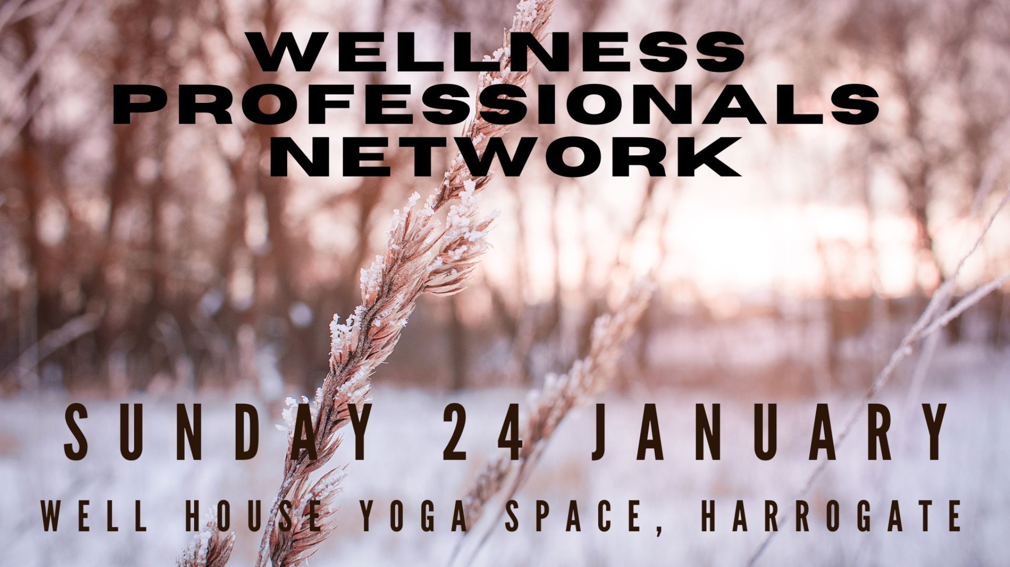Wellness Professionals Network - January
