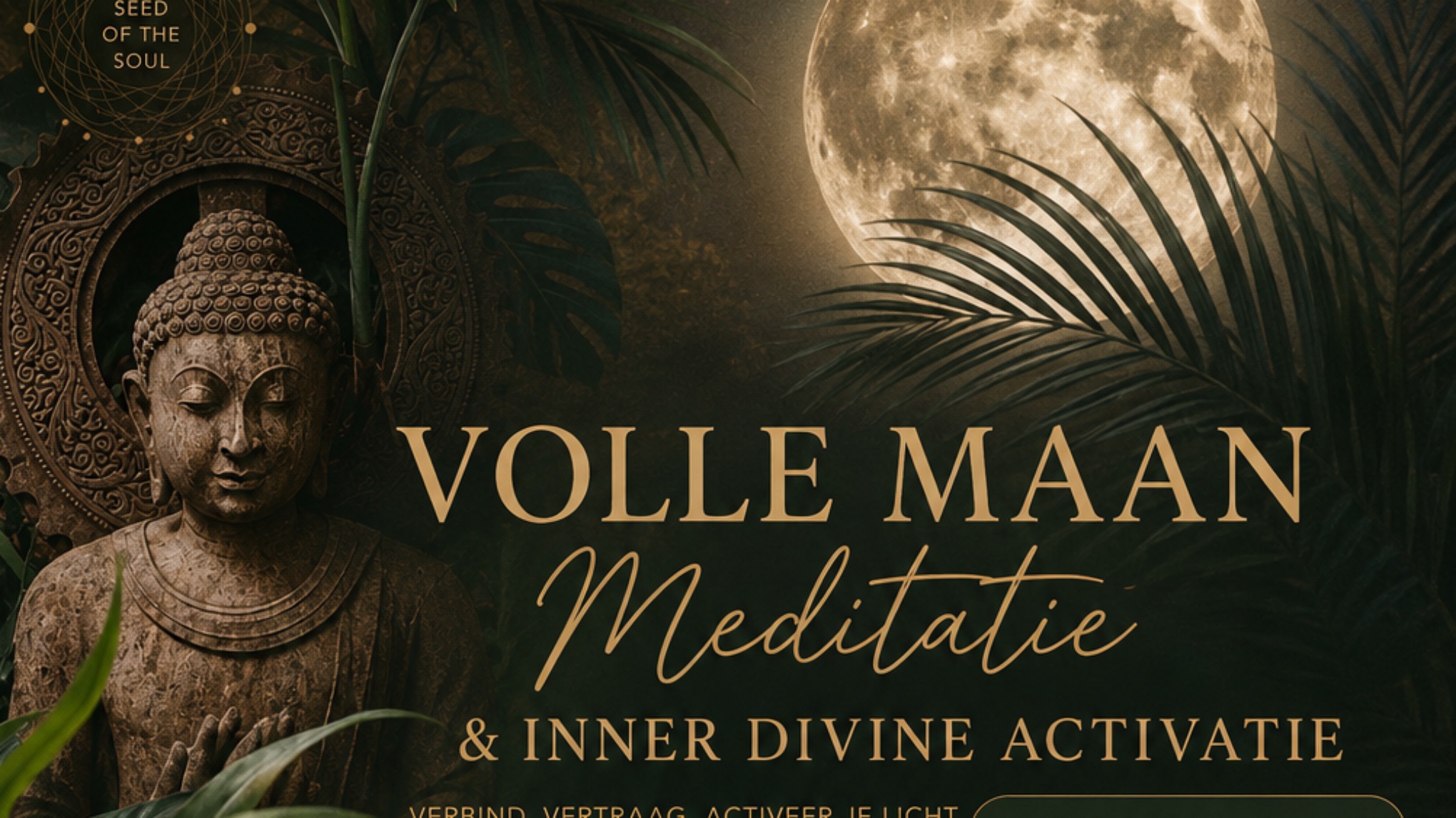🌕 Full Moon & Inner Divine Activation