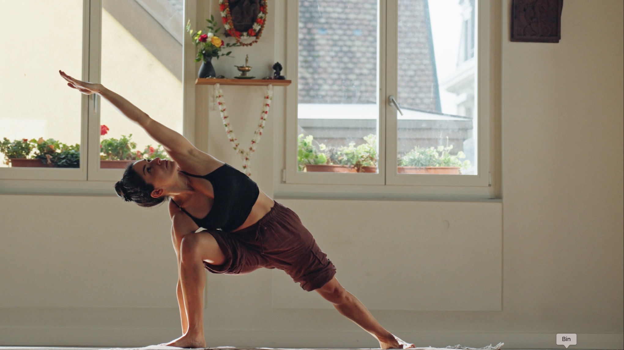 VINYASA KRAMA - PRANAYAMA - MEDITATION