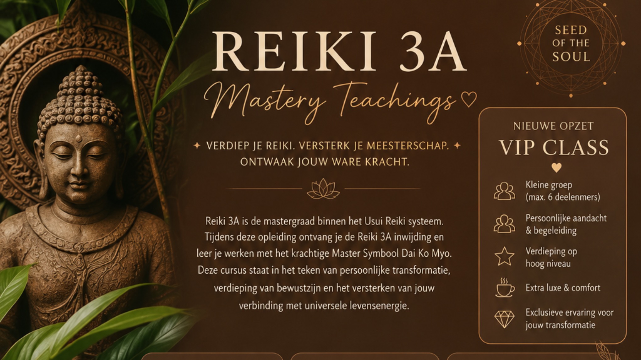 Cursus Reiki 3A - VIP Master Class